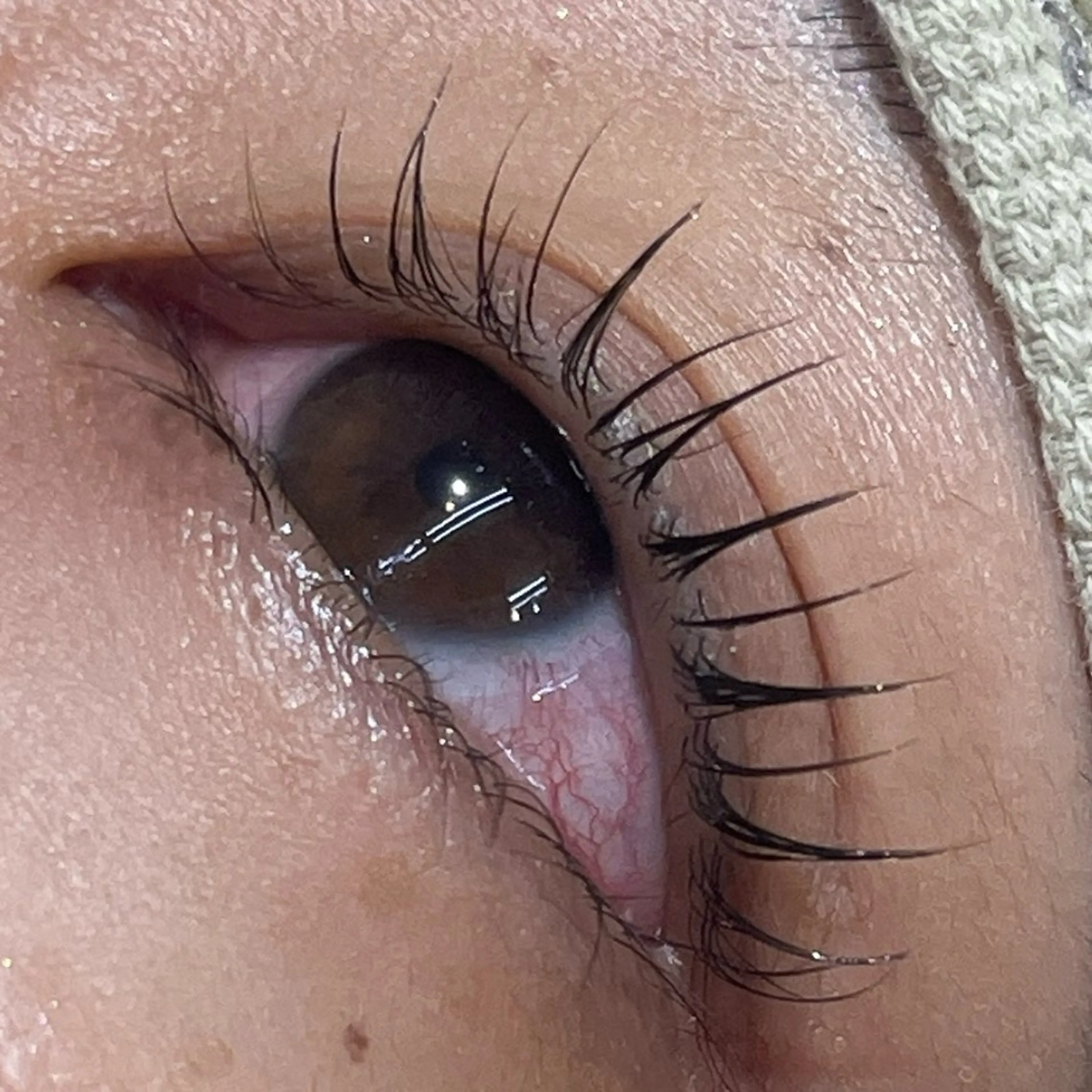 マツエク・マツパ Dカール アマンビューティーリゾート所属・竹内 日菜のマツエク・マツパデザイン