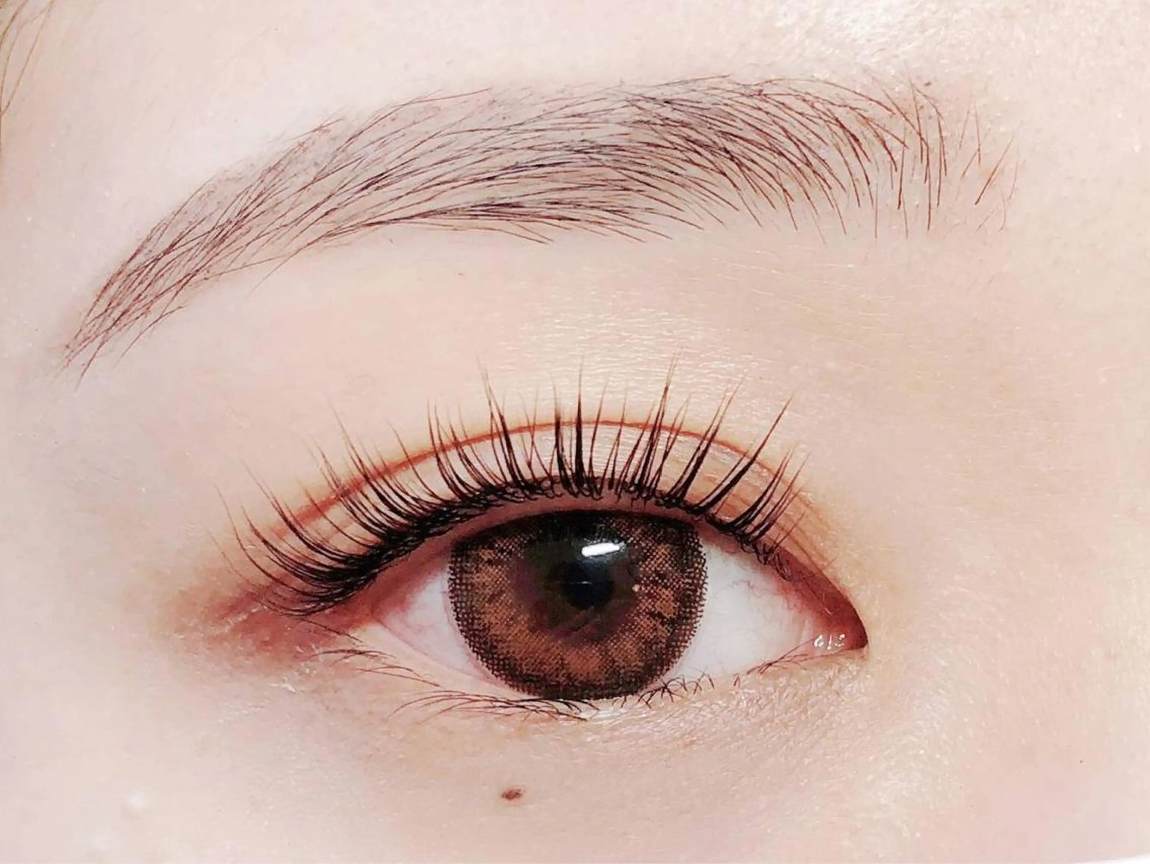 限定🌈まつげパーマ★ヒト幹細胞トリートメント付の写真