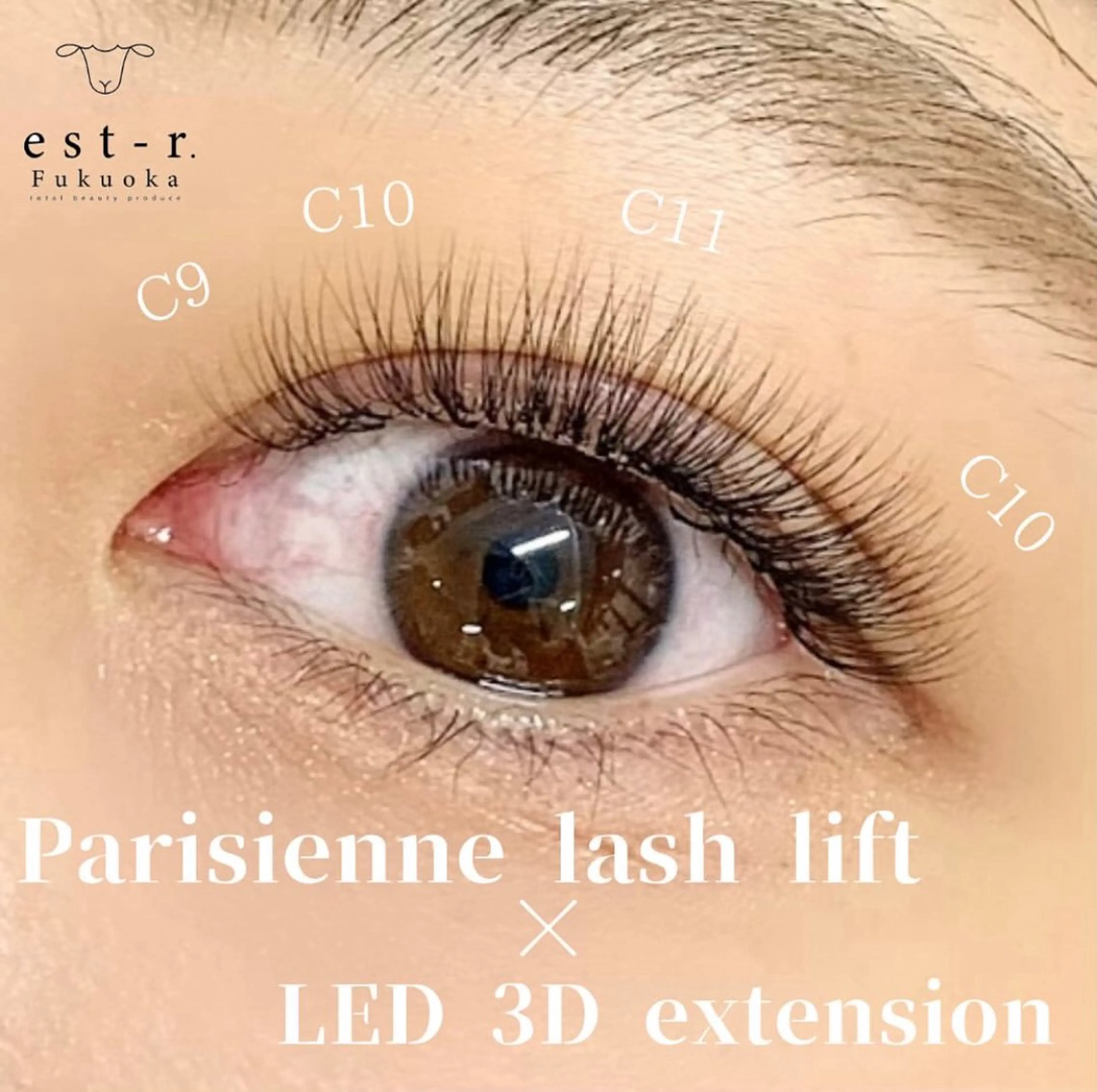 マツエク・マツパ マツエク Mai まつげパーマ/LEDのマツエク・マツパデザイン