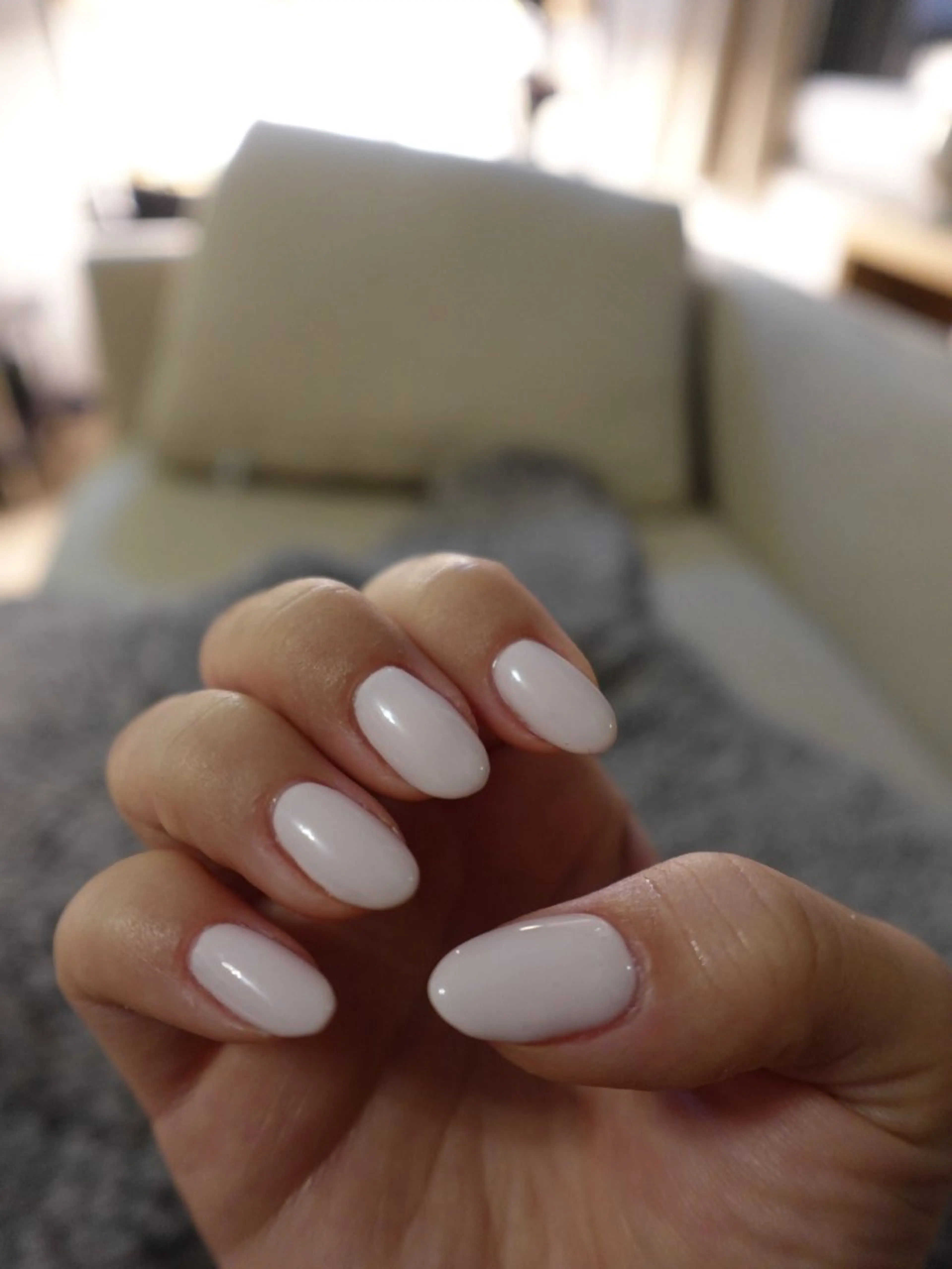 ワンカラーの写真