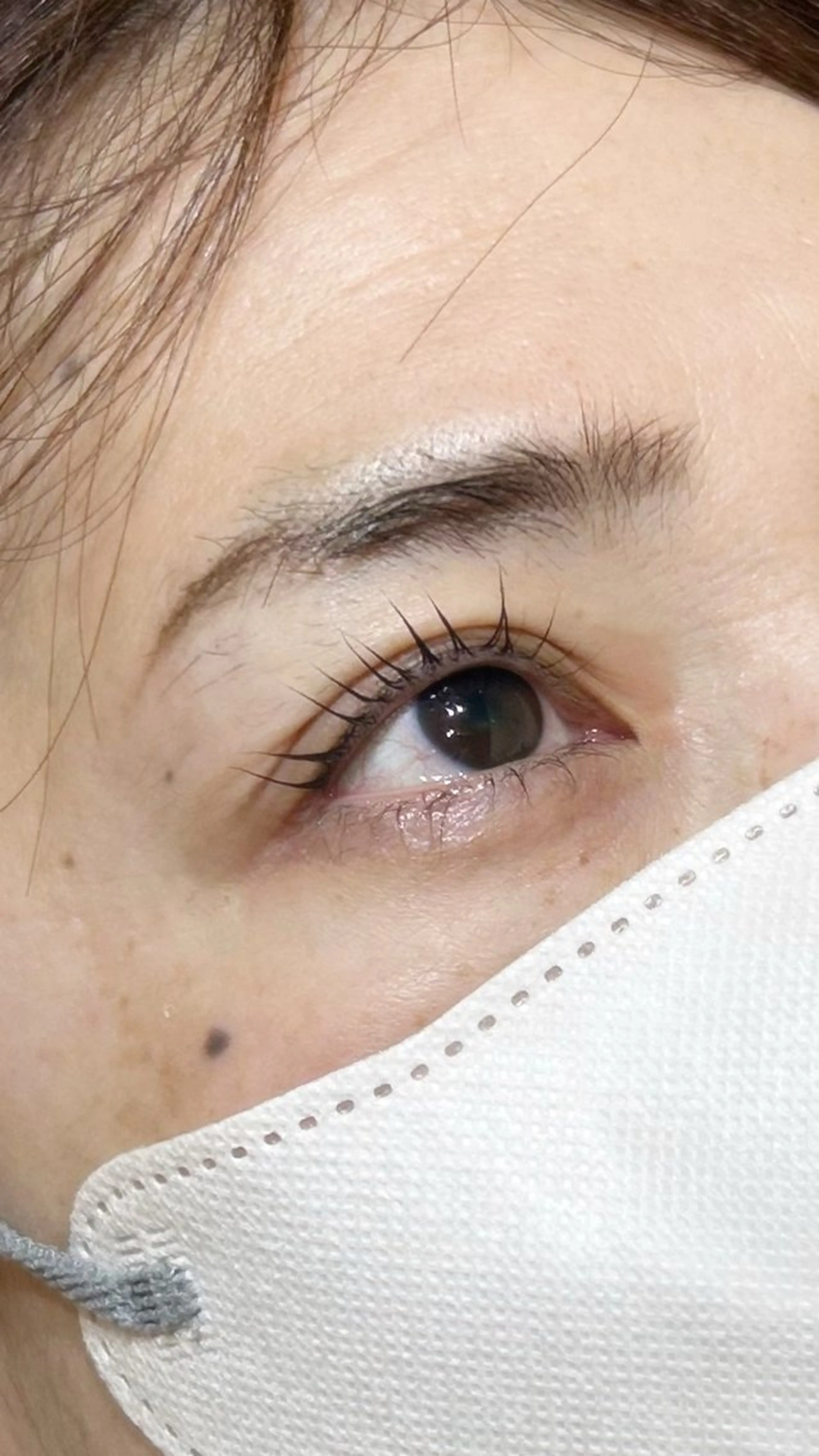 【2/16​〜​2/24"まで"】平日2名様限定パリジェンヌラッシュリフト🫧説明欄を"よくお読みの上"ご予約くださいの写真