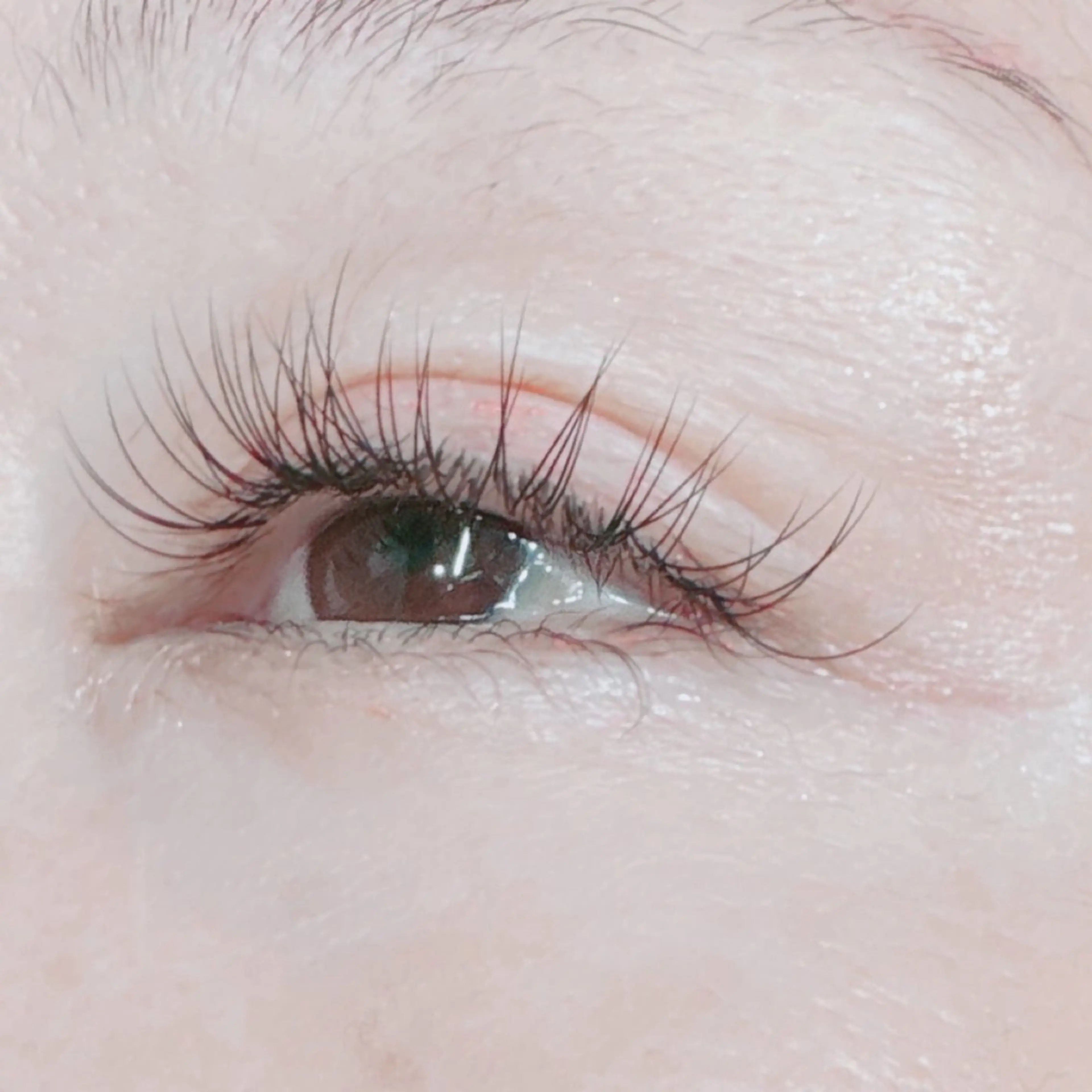 マツエク・マツパ ミンク MAQUIA志木店所属・MAQUIA志木店 太田のその他イメージ