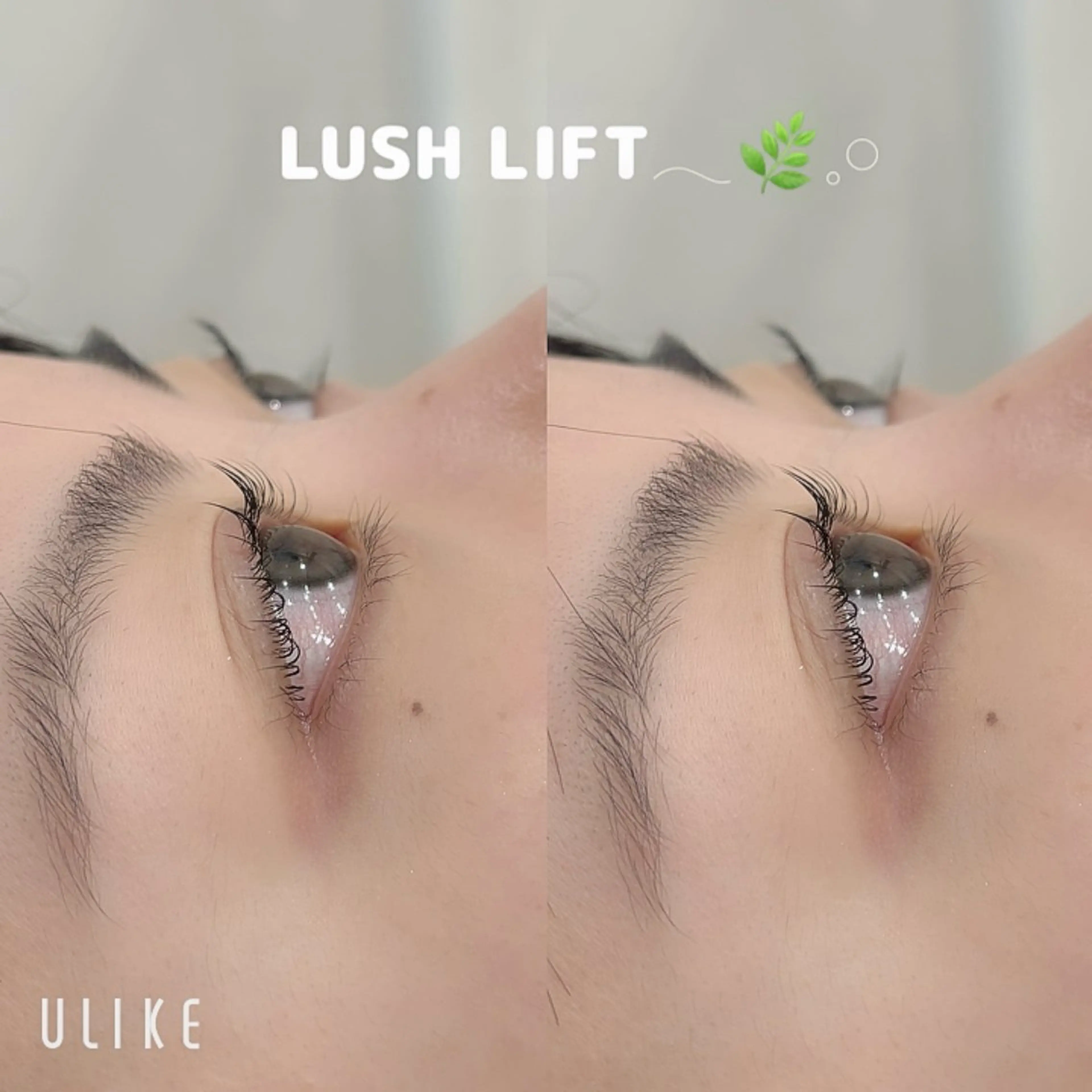 マツエク・マツパ マツパ BUNNYEYES RUMIのマツエク・マツパデザイン