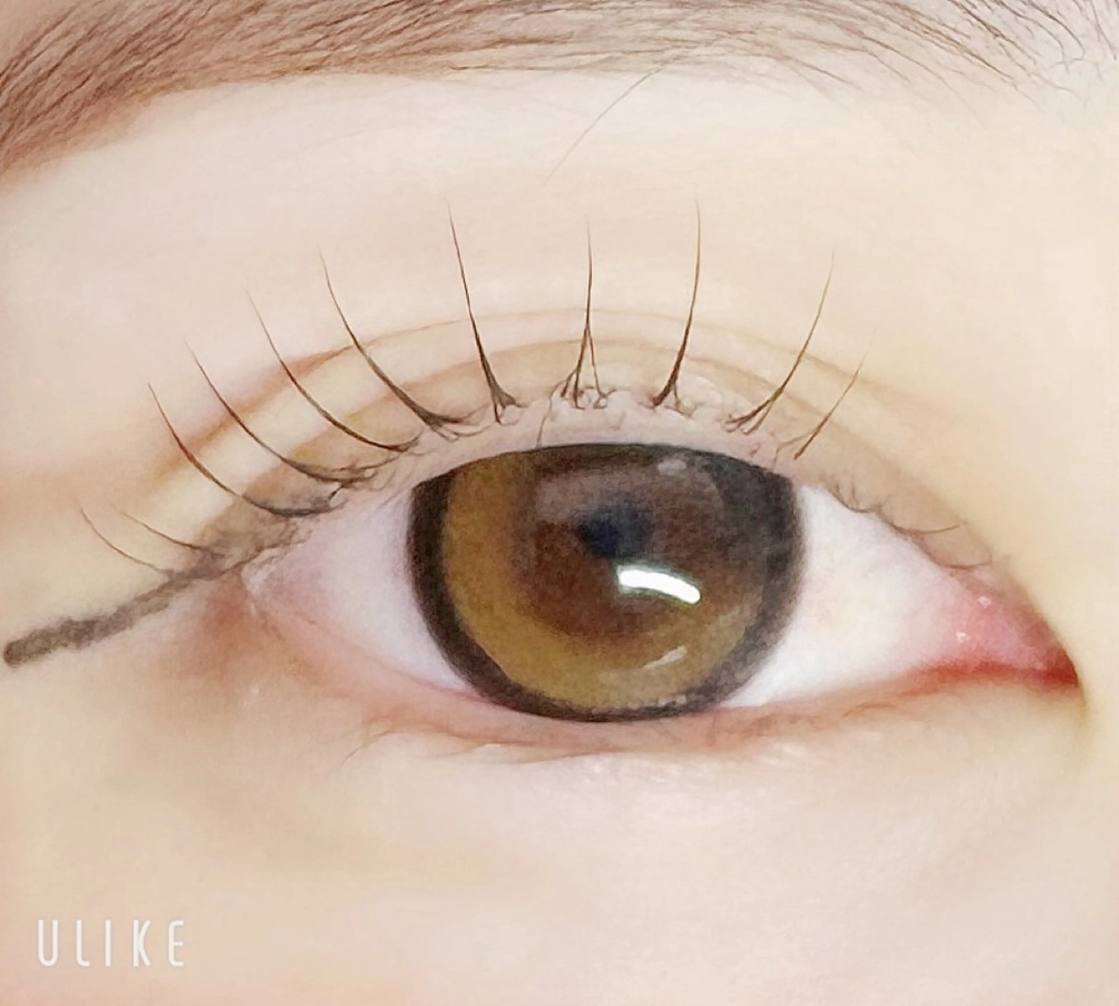 マツエク・マツパ 🐈⬛ Yukaのマツエク・マツパデザイン