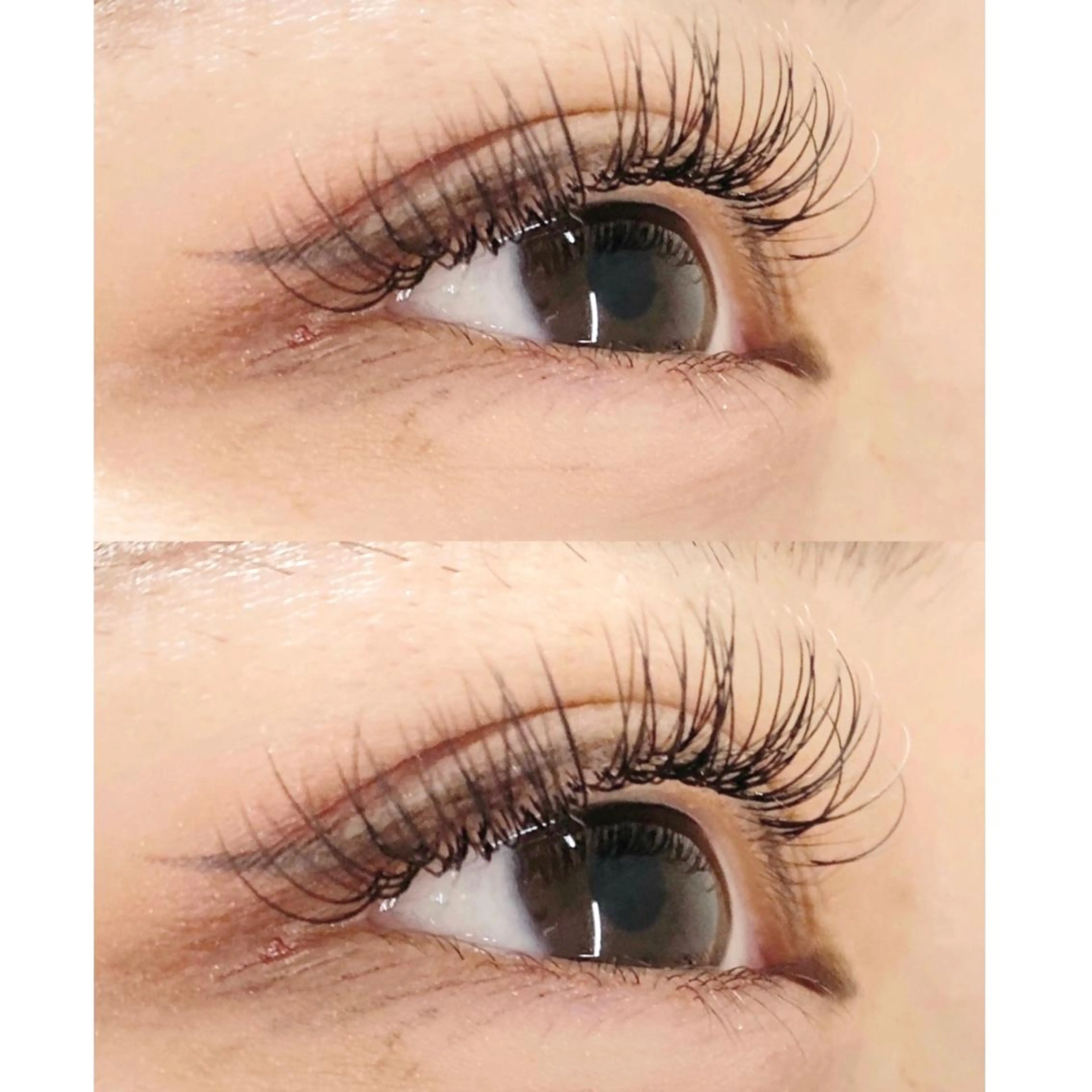 フラットラッシュ180本の写真