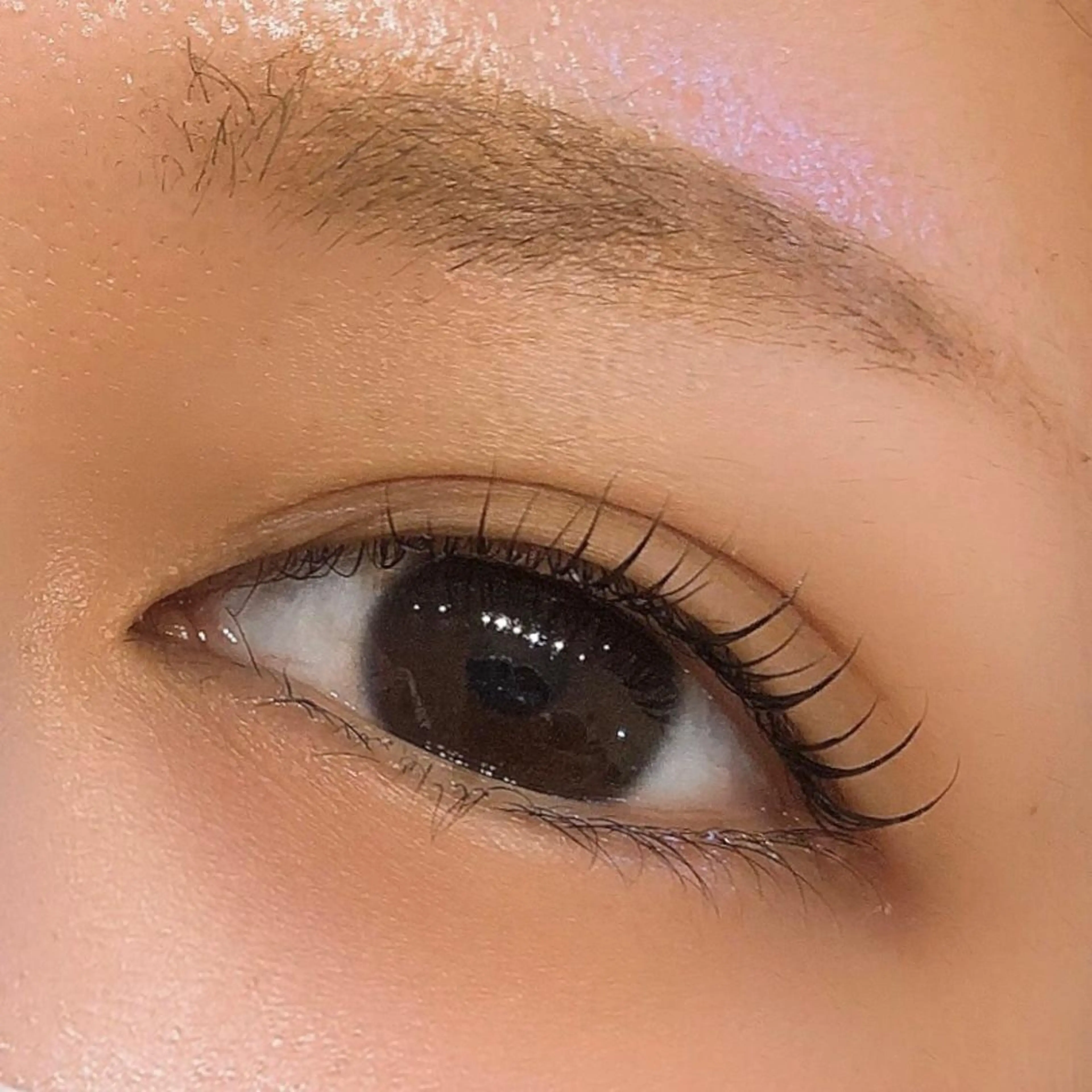 マツエク・マツパ 垢抜け眉/肌管理 mayumi🍐のマツエク・マツパデザイン