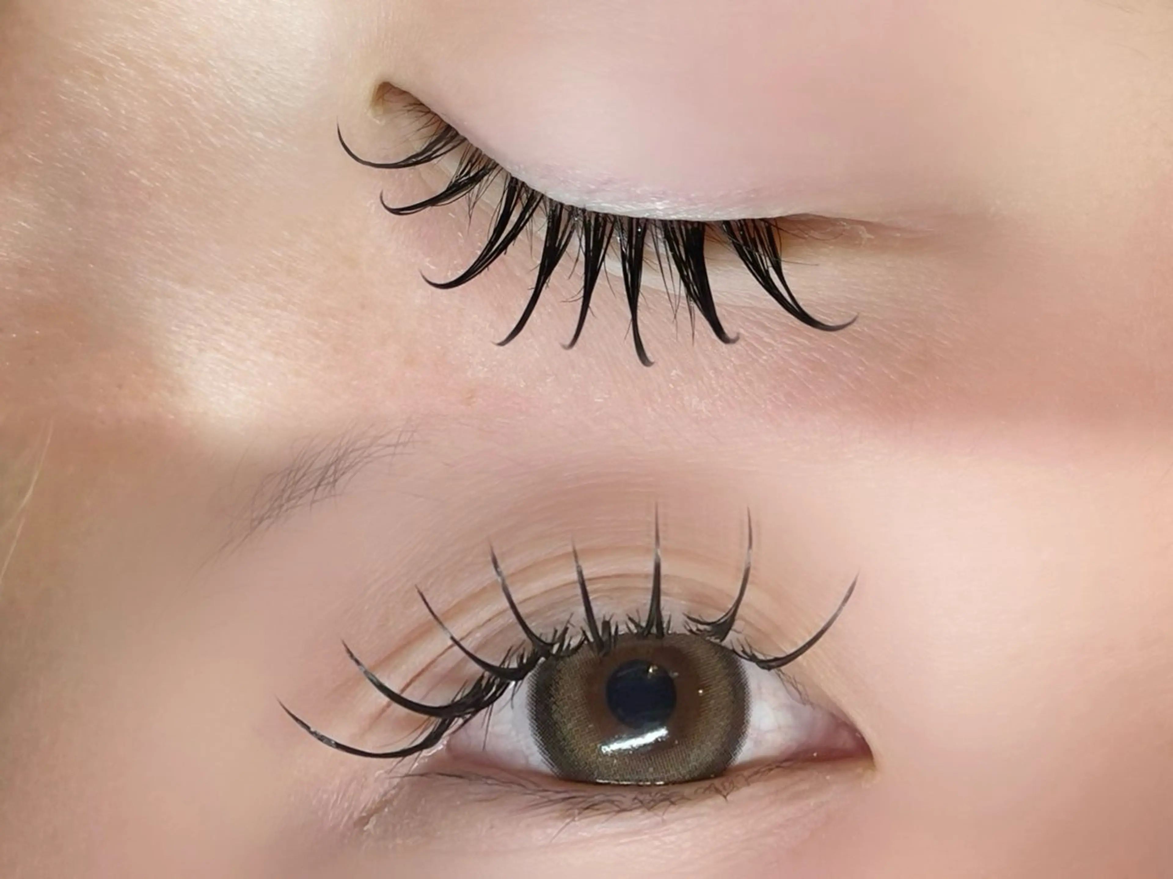 💐派手すぎずに盛れる🌷フラットラッシュ120本⚠️必ず注意事項をご確認下さい🙏🏻の写真