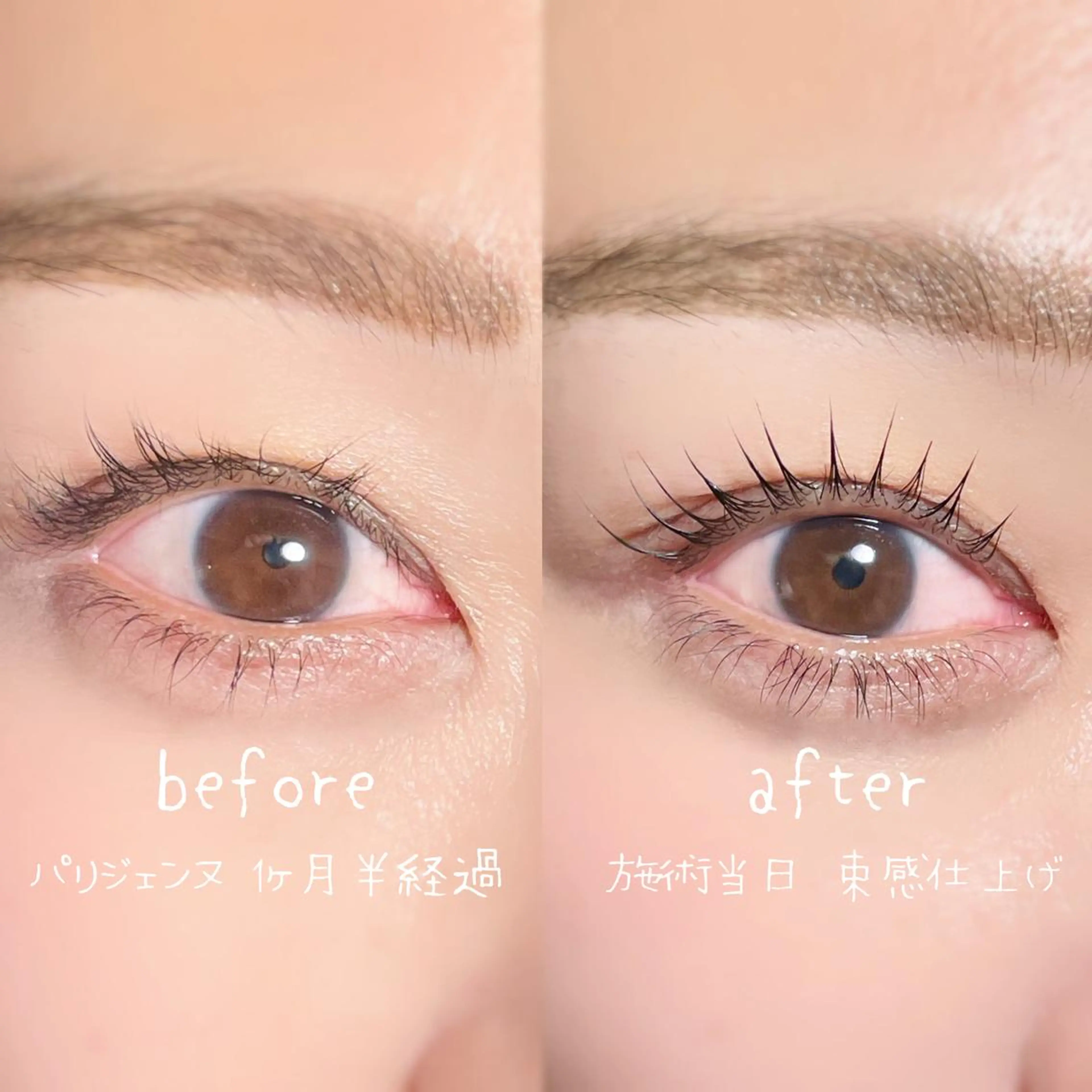 マツエク・マツパ パリジェンヌラッシュリフト privatesalon Link所属・🌷private salon Linkのマツエク・マツパデザイン