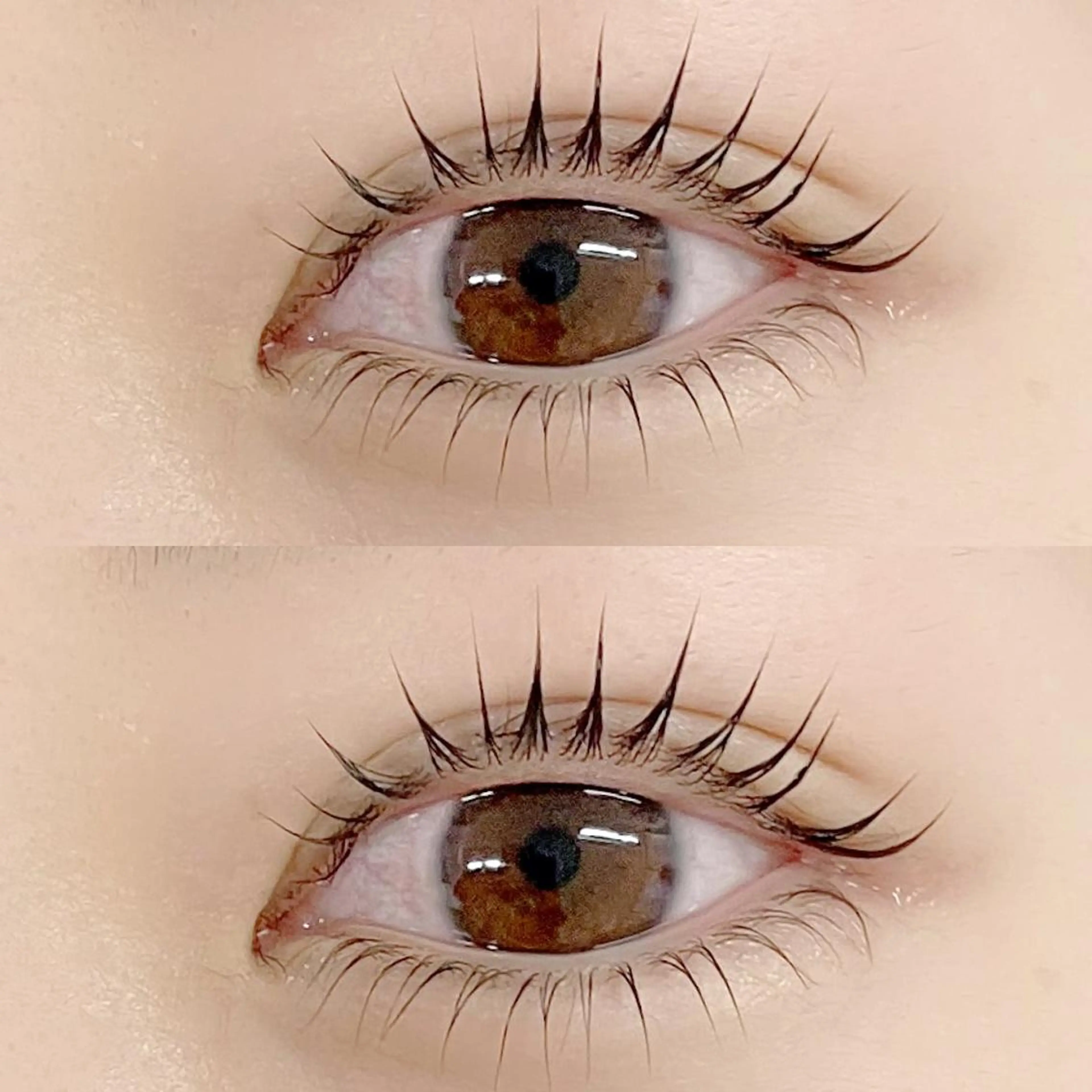 マツエク・マツパ まつげパーマ 下まつげエクステ フジ ワラのマツエク・マツパデザイン