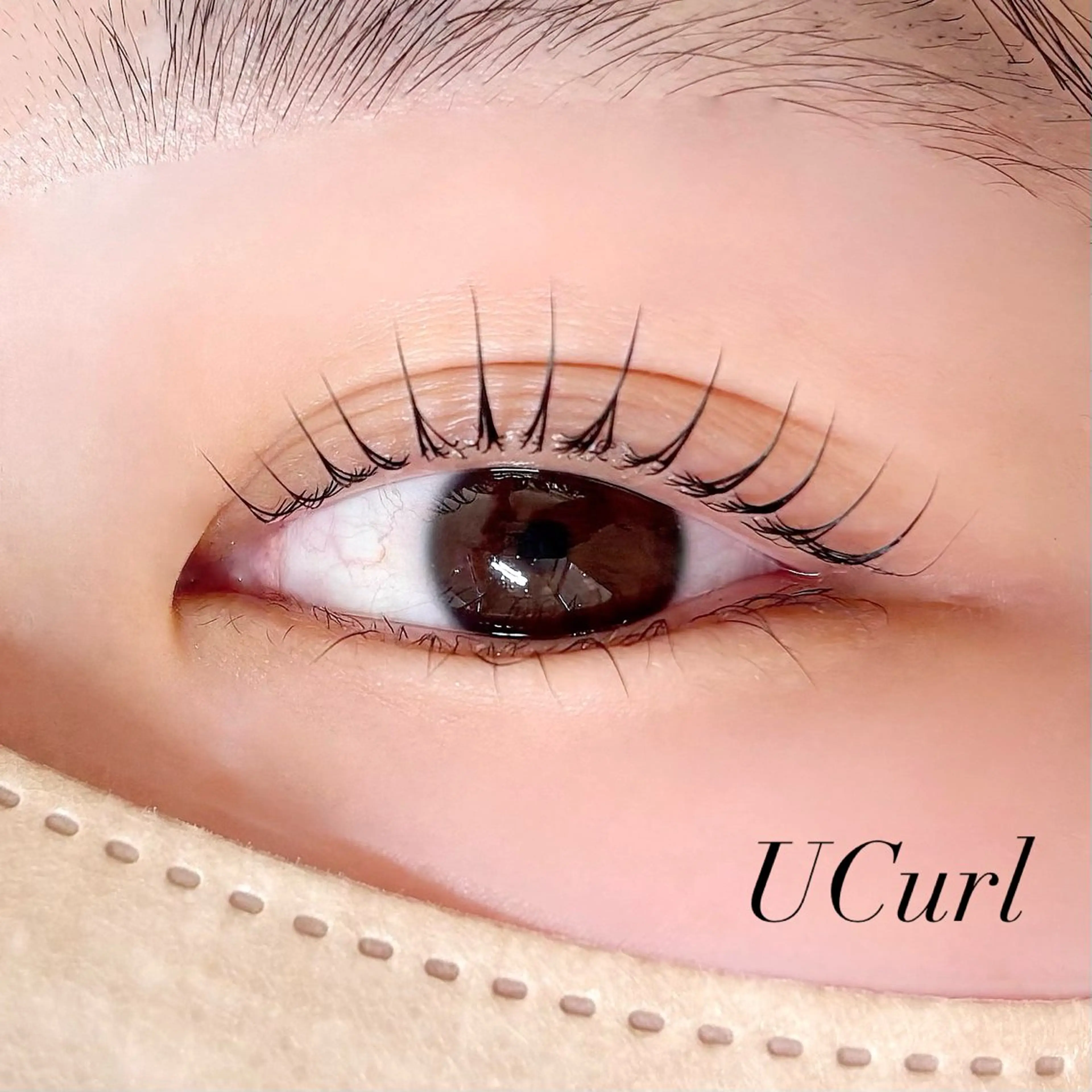 マツエク・マツパ マツパ Pupu lash所属・Pupu lash 2のマツエク・マツパデザイン