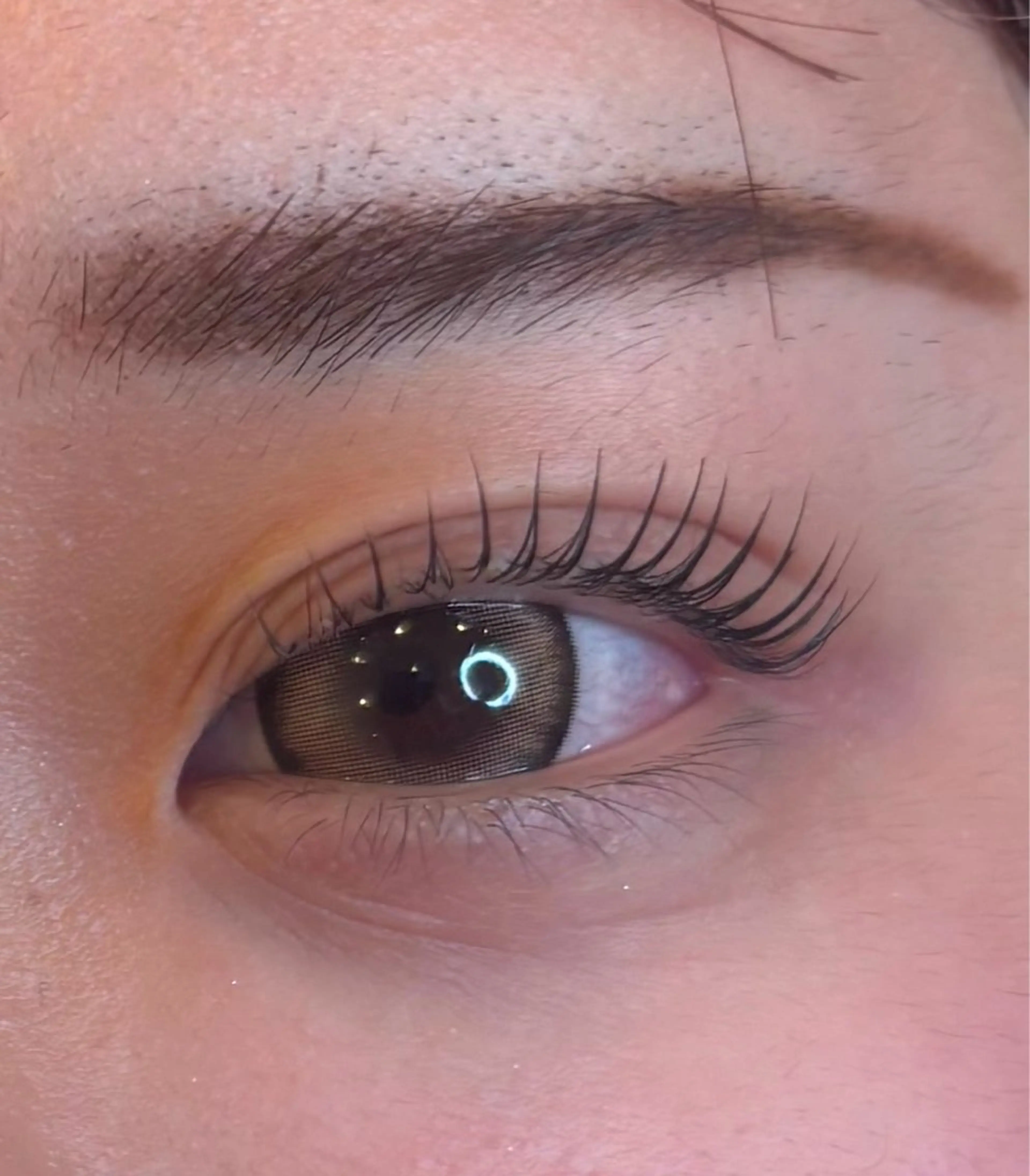 上のみマツパモデル募集中🤍無料🤍※詳細をご確認の上ご予の程よろしくお願い致します。⚠️の写真