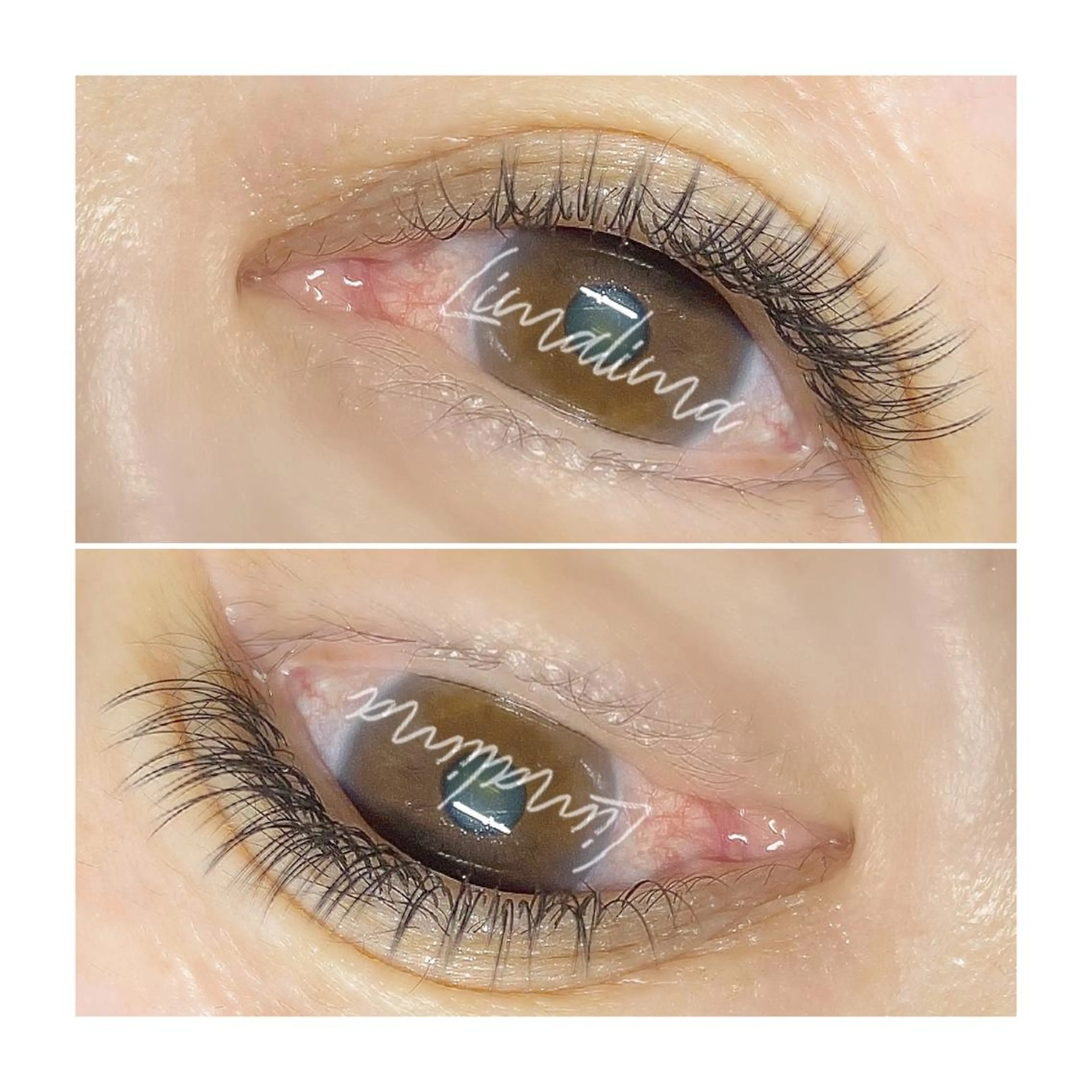 マツエク・マツパ フラットラッシュ Limalima所属・まつ毛と眉毛の専門店 Limalima🌿のマツエク・マツパデザイン