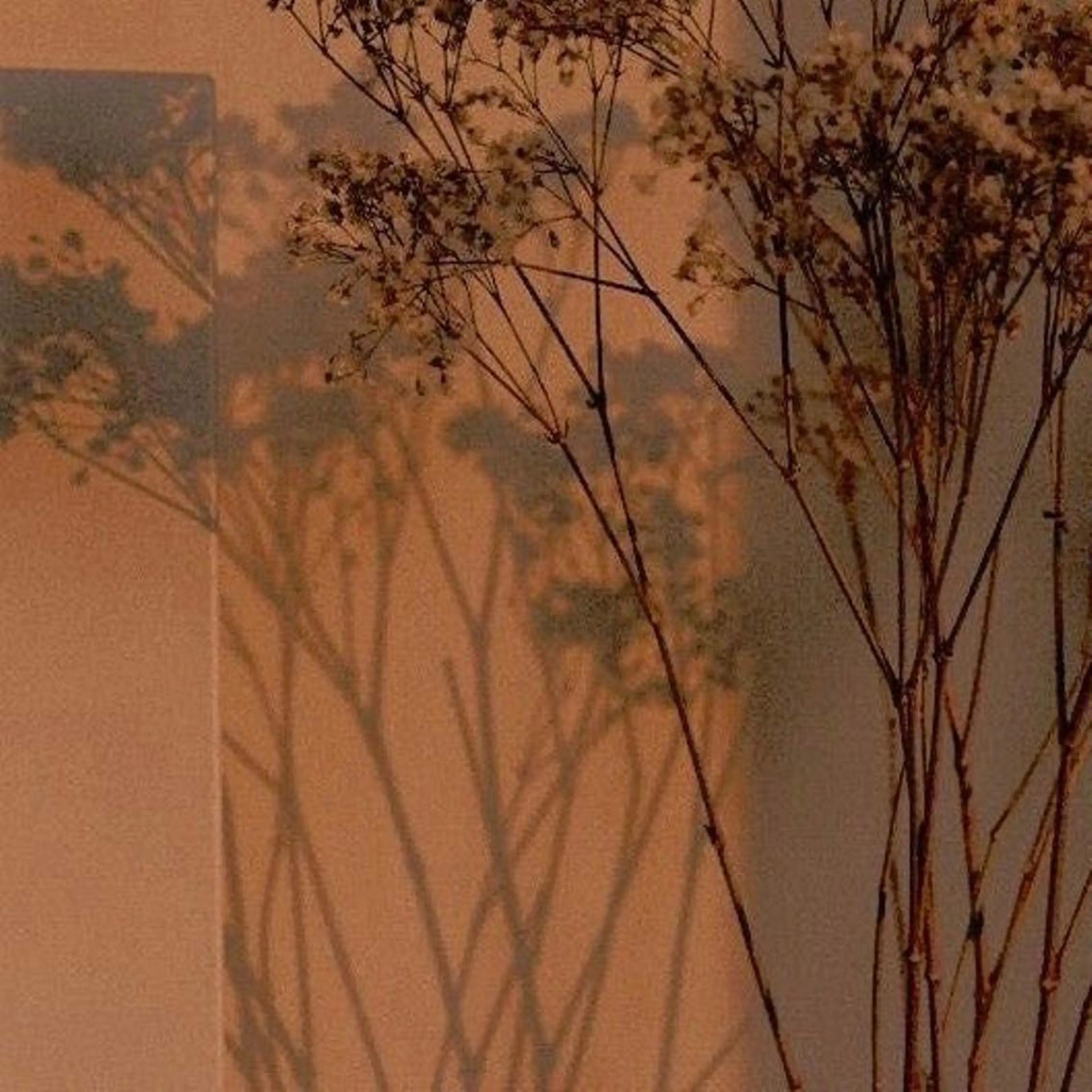 IwAsh  大和駅店所属・shiho .のヘアスタイル