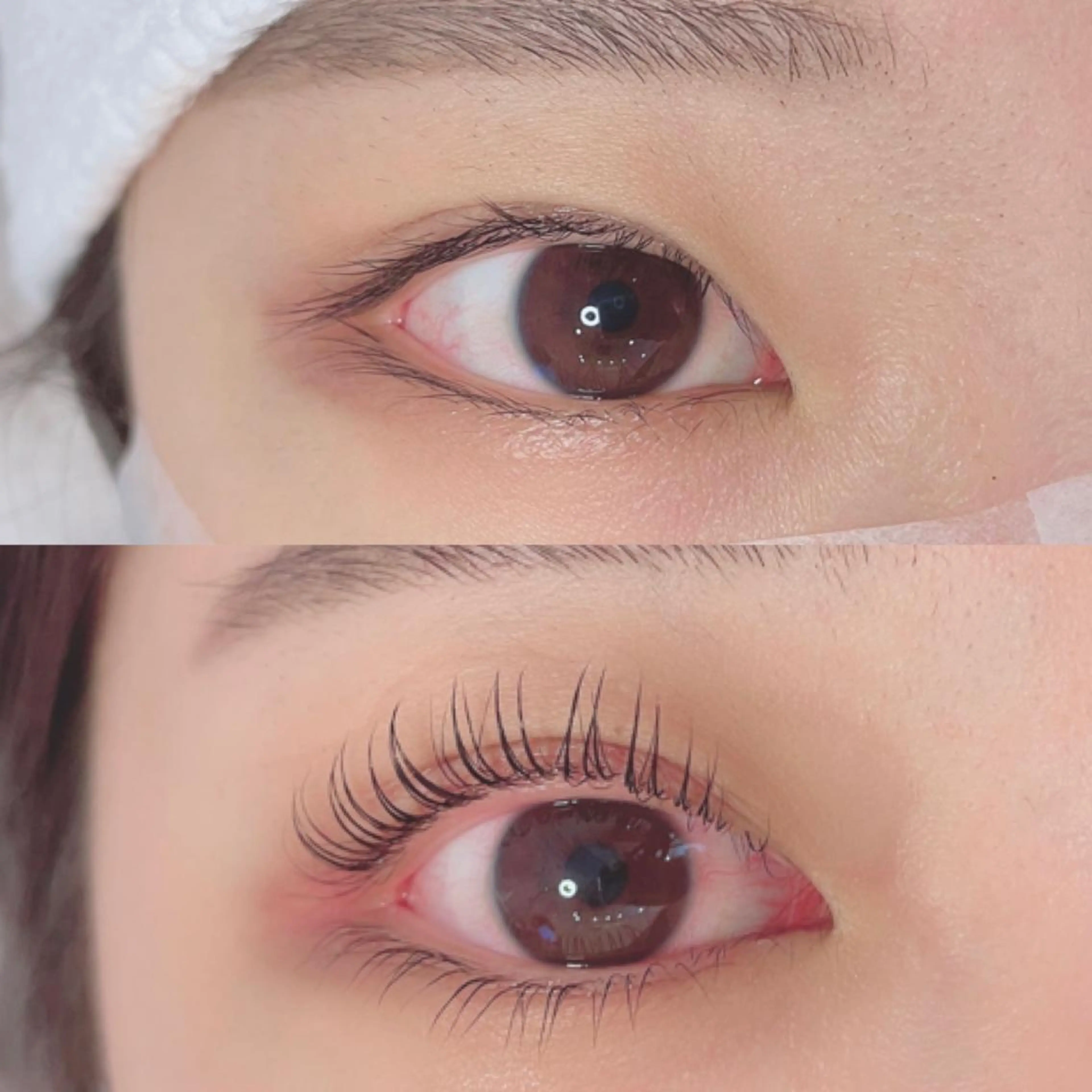 【ラッシュリフトorパリジェンヌ(上下いずれか)¥6600】カールの種類豊富なので細かくご希望デザインにお応えします🤲の写真