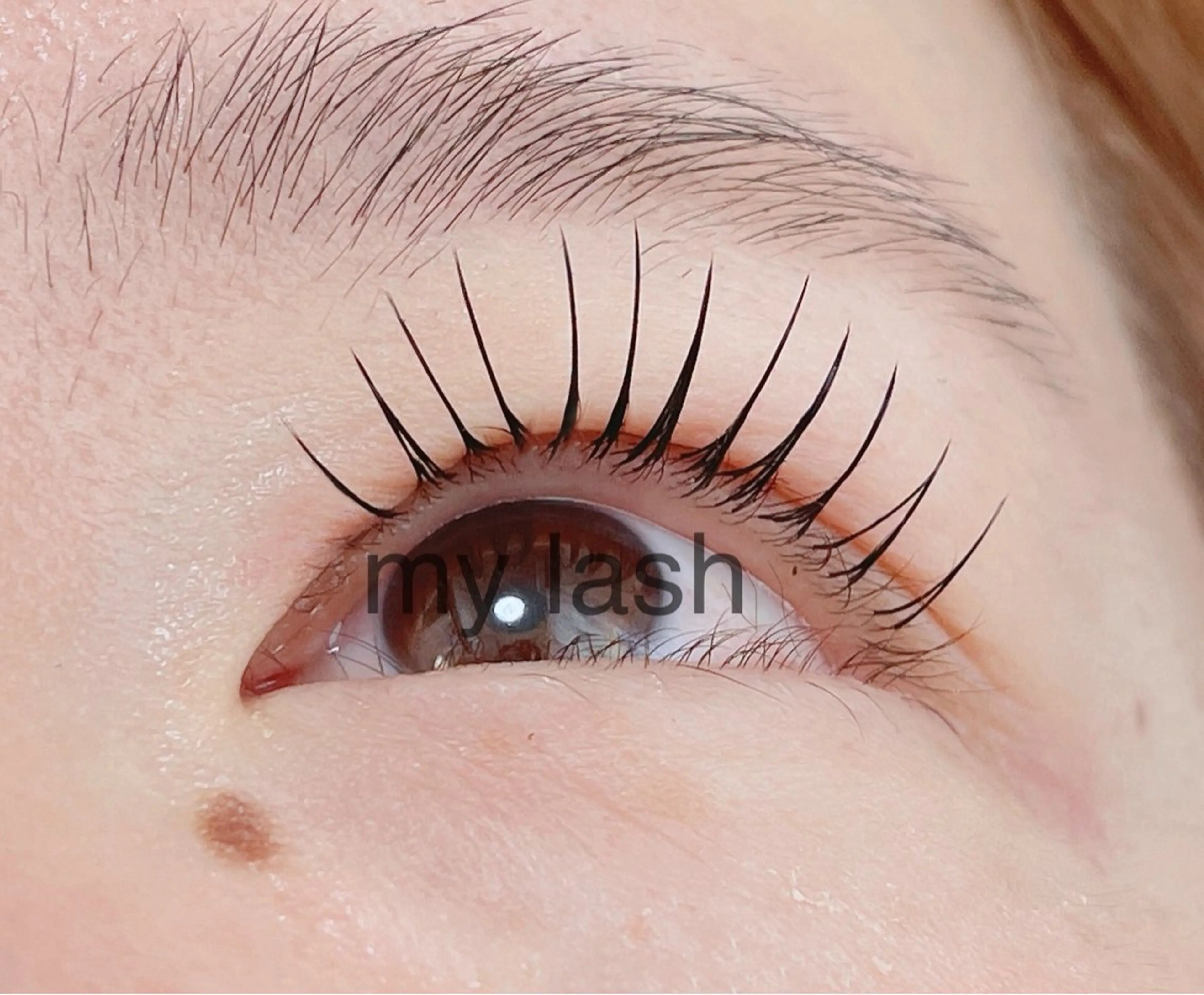 まつ毛エクステ/フラットラッシュ120本【リピーター】¥6200の写真