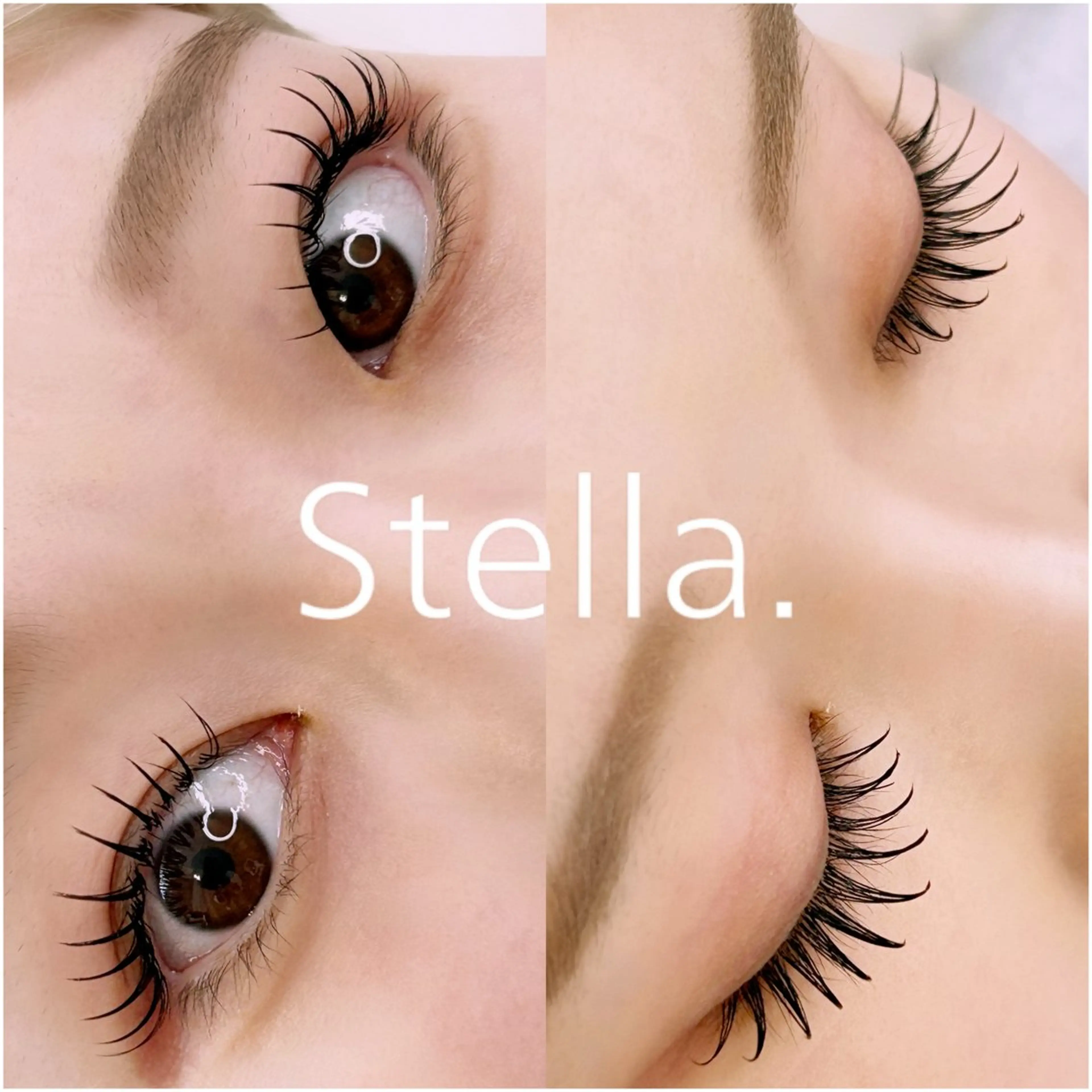 マツエク・マツパ 束感まつ毛 フラットラッシュ Stella.✨ Ikedaのマツエク・マツパデザイン