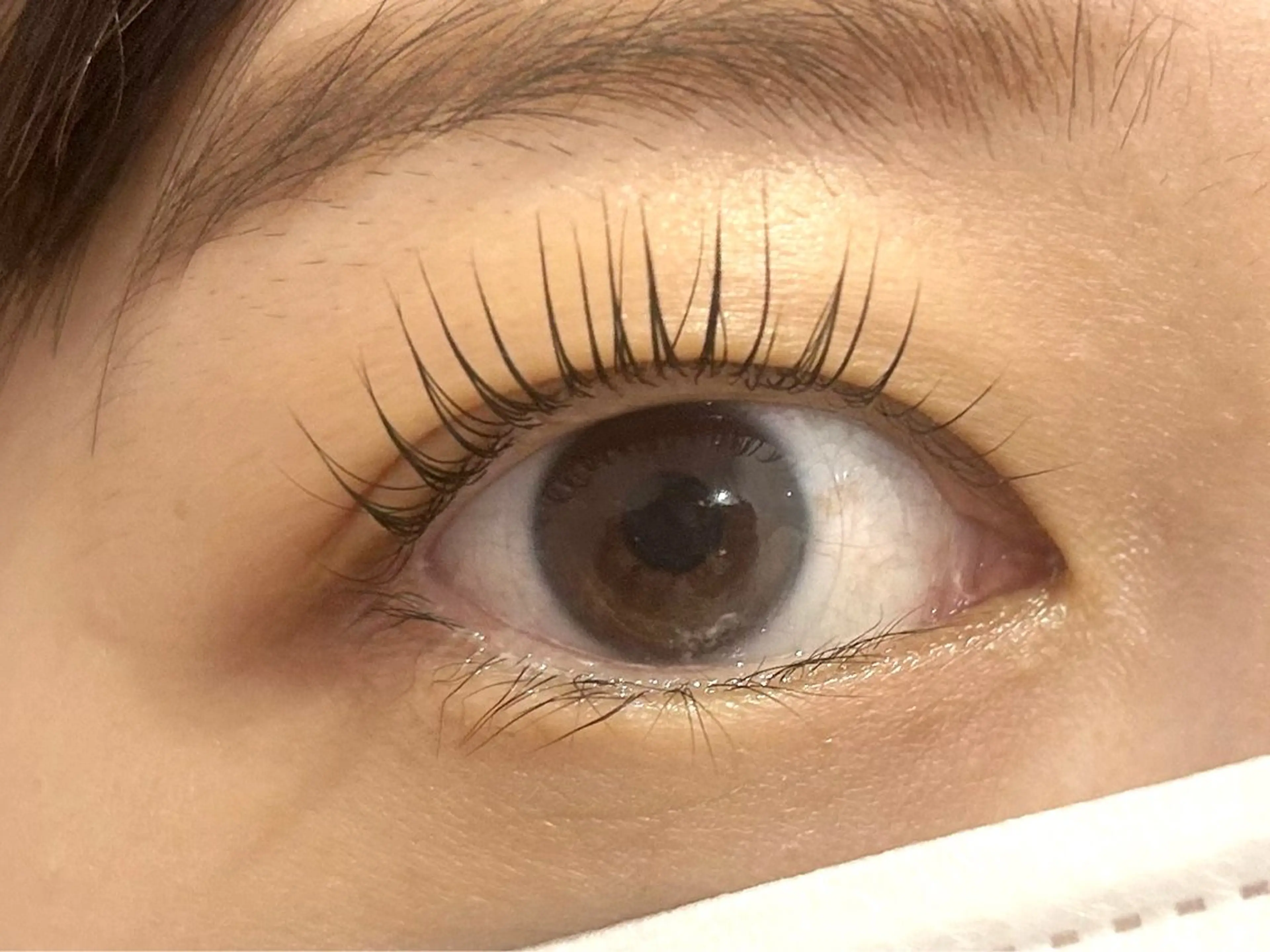 マツエク・マツパ マツパ Miroir EYELASH&BROW所属・Miroir Sunadaのマツエク・マツパデザイン