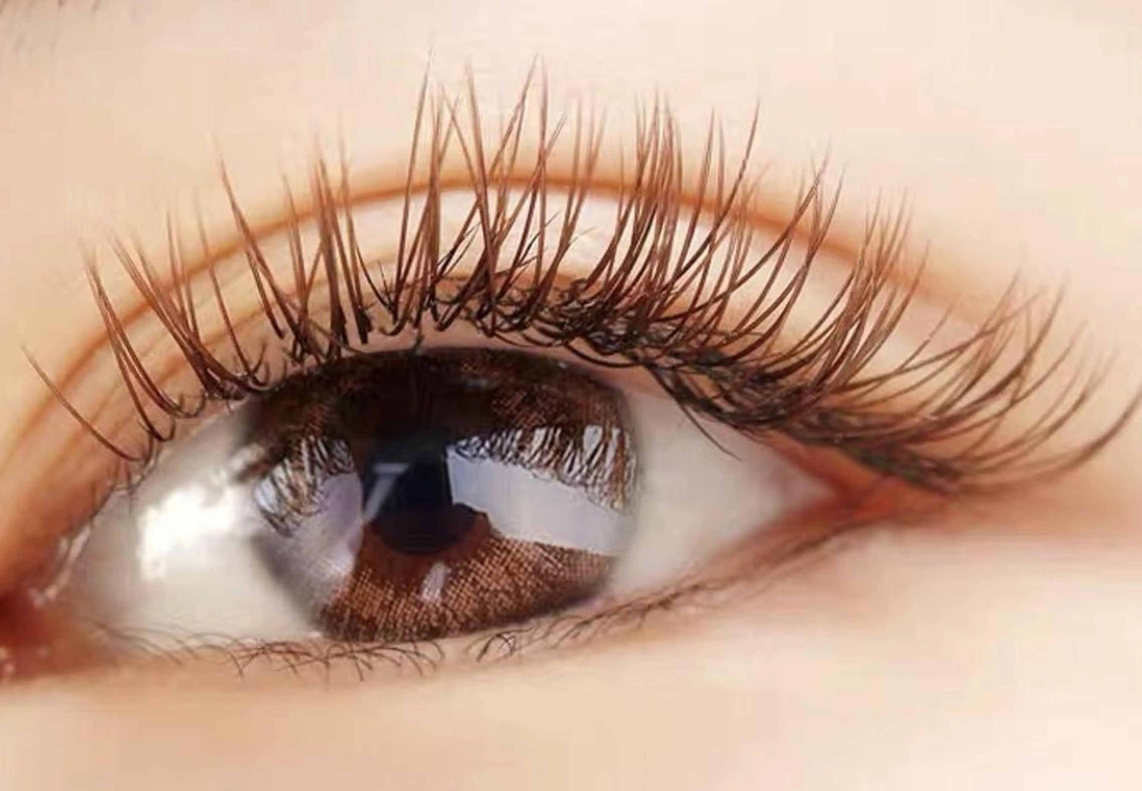 マツエク・マツパ 付け放題 Dカール フラットラッシュ Cute B e au t yのマツエク・マツパデザイン