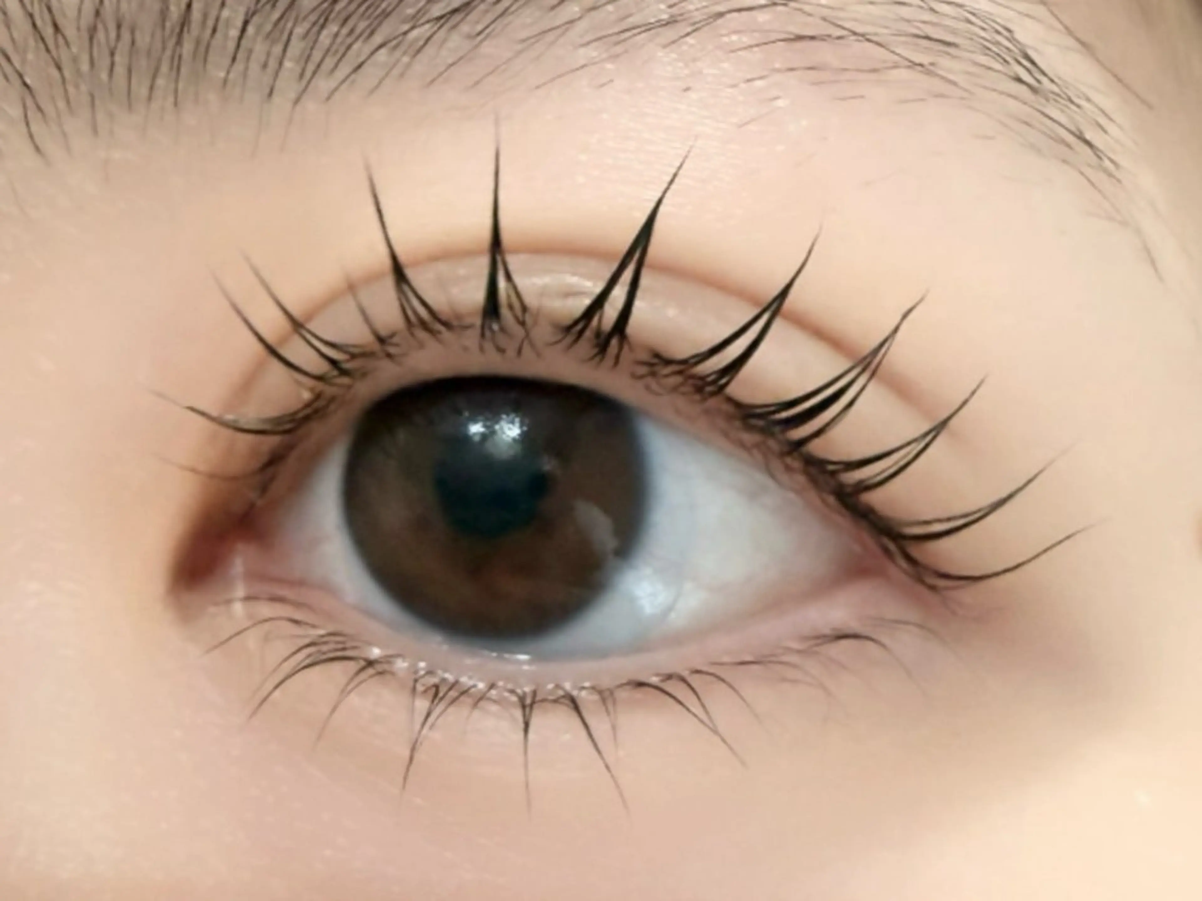 マツエク・マツパ マツパ Lib 小松店 ⁎Oie/オオイエの眉毛・アイブロウイメージ