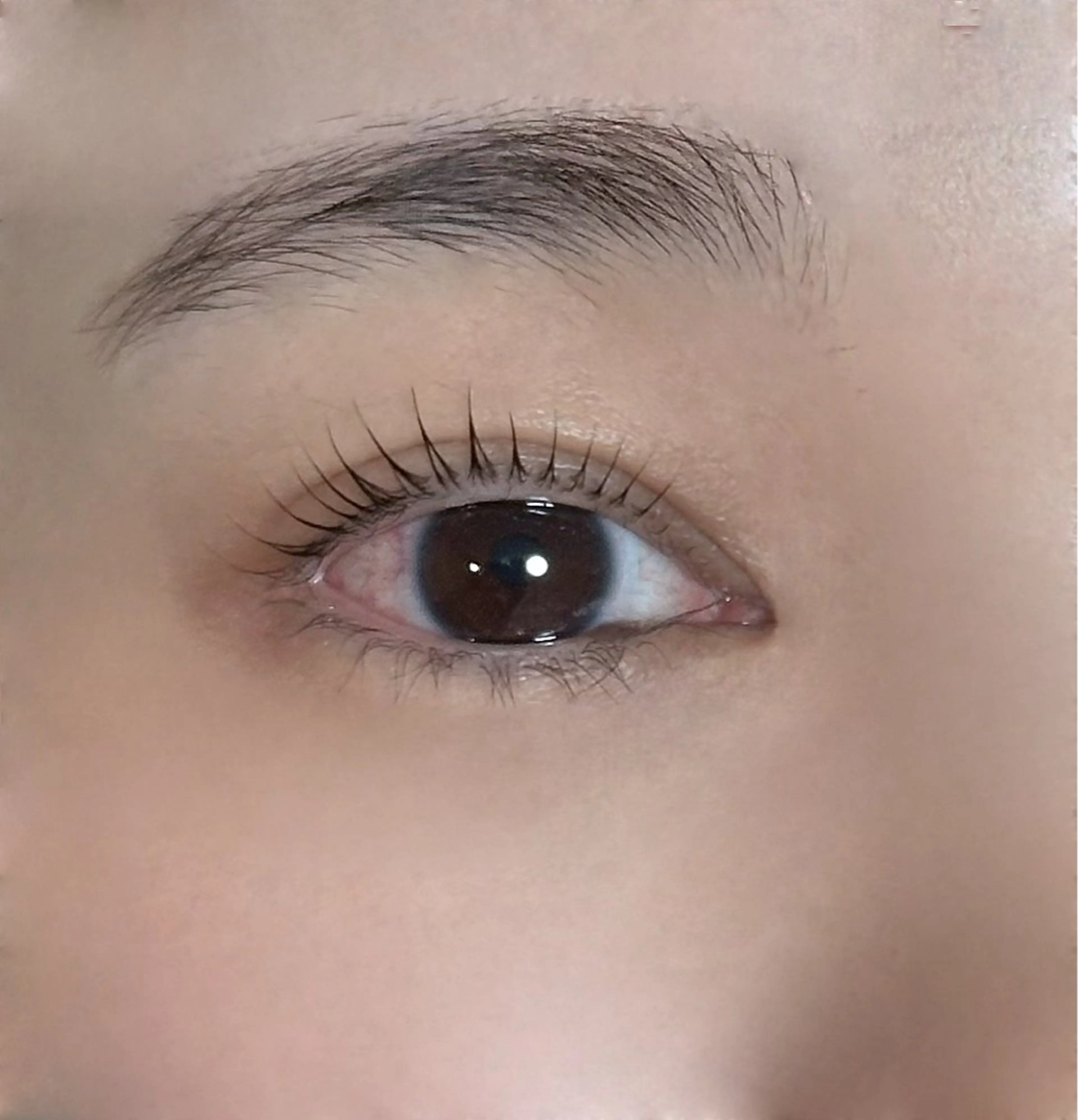 ★人気★ラッシュリフト まつ毛パーマ TR.アイシャンプー¥5300の写真