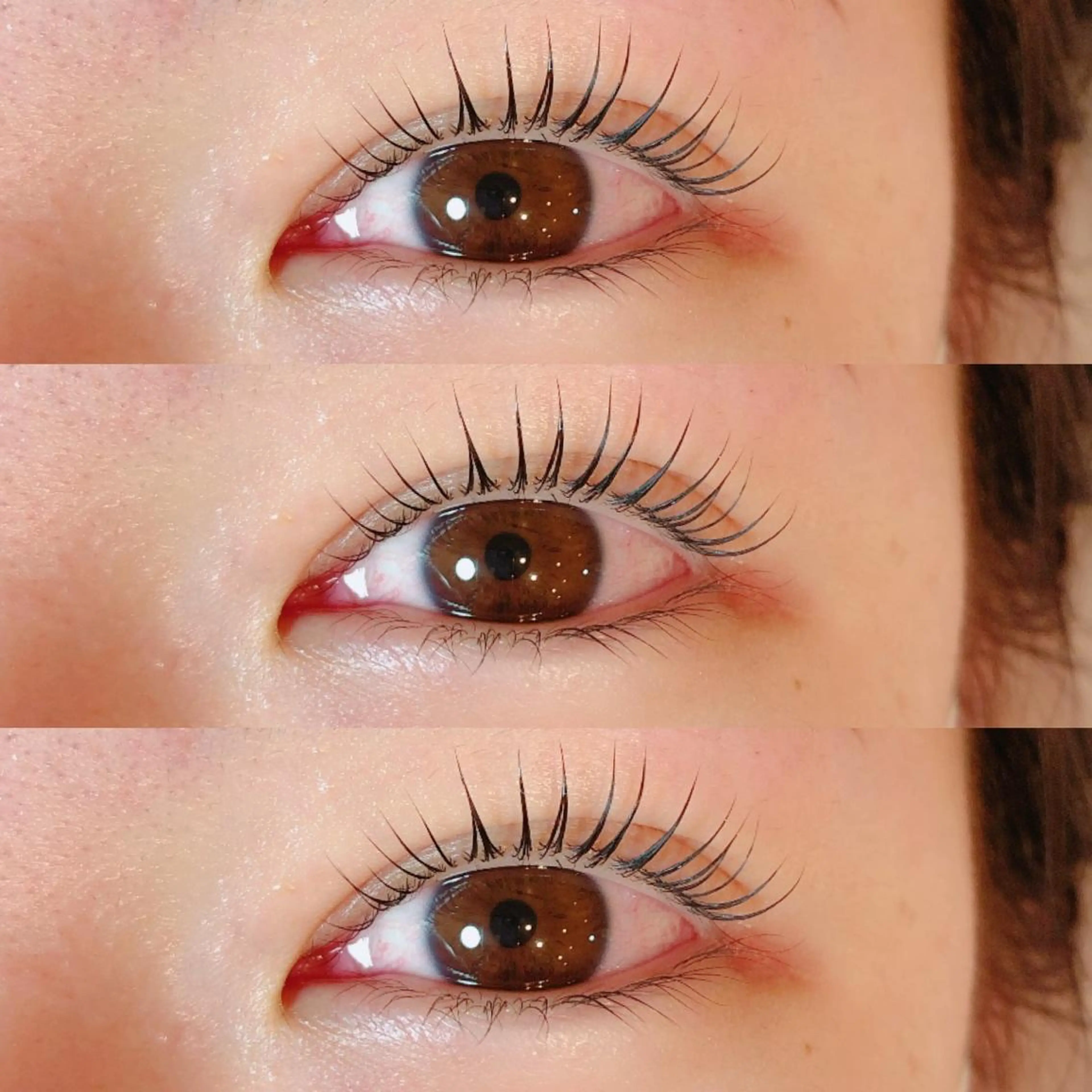 🪴まつ毛パーマ🪴 ┈┈┈扱いやすく、持ちの良いまつ毛パーマをお届けします😳✨️の写真