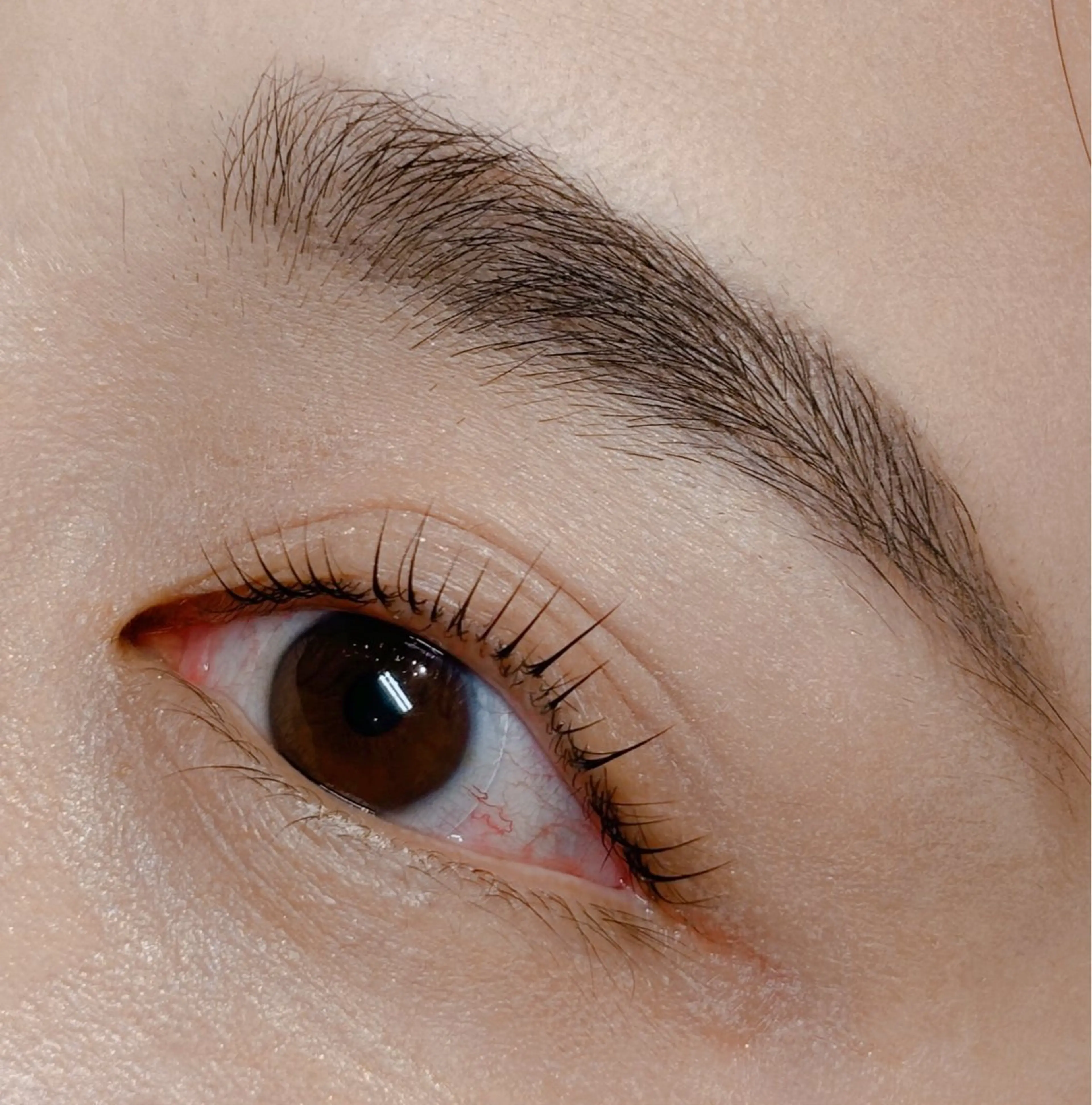 マツエク・マツパ 一重×まつ毛パーマ マツパ fleek!🐈 Kahoの眉毛・アイブロウイメージ