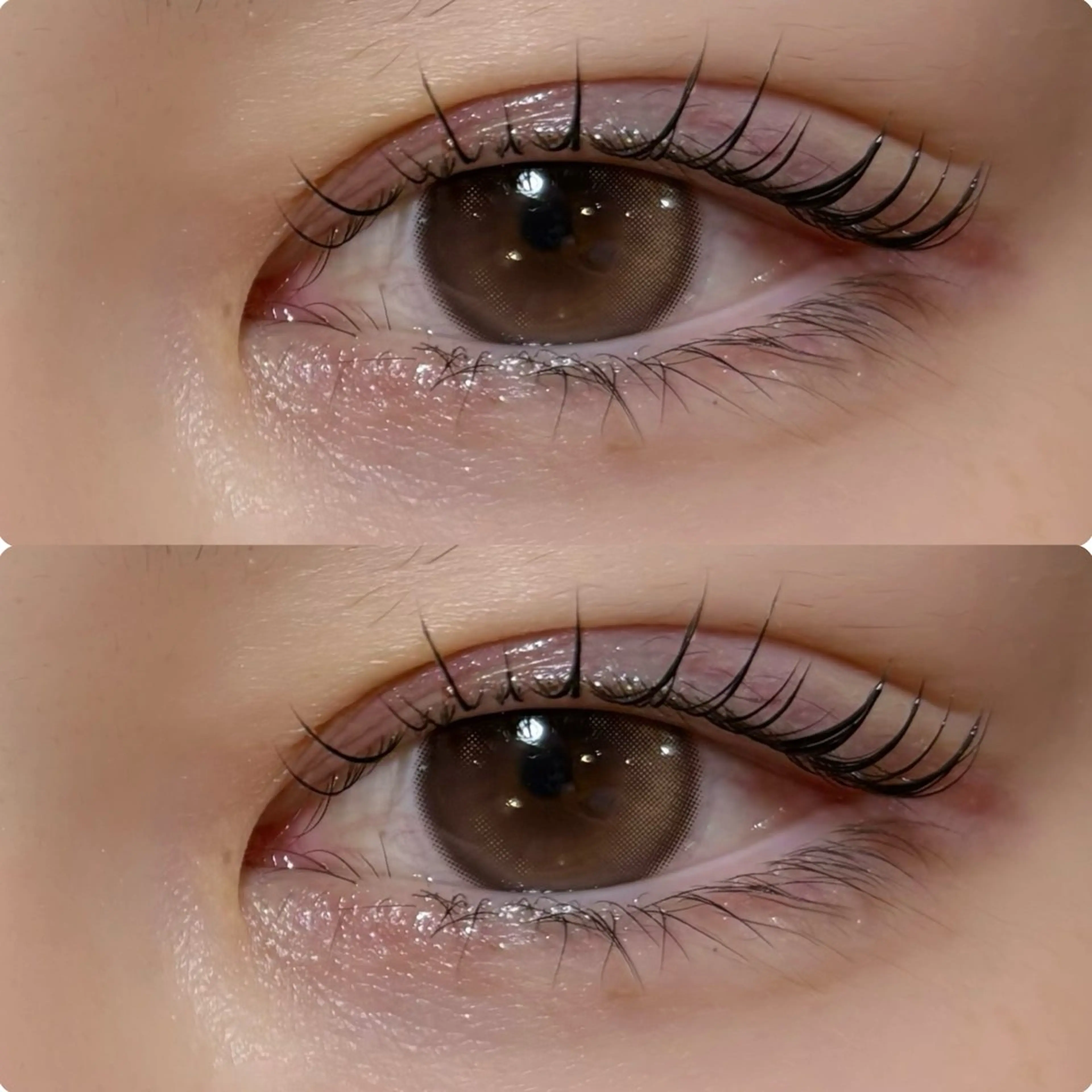 マツエク・マツパ meguru／マツパ ／マツエク／束感のマツエク・マツパデザイン