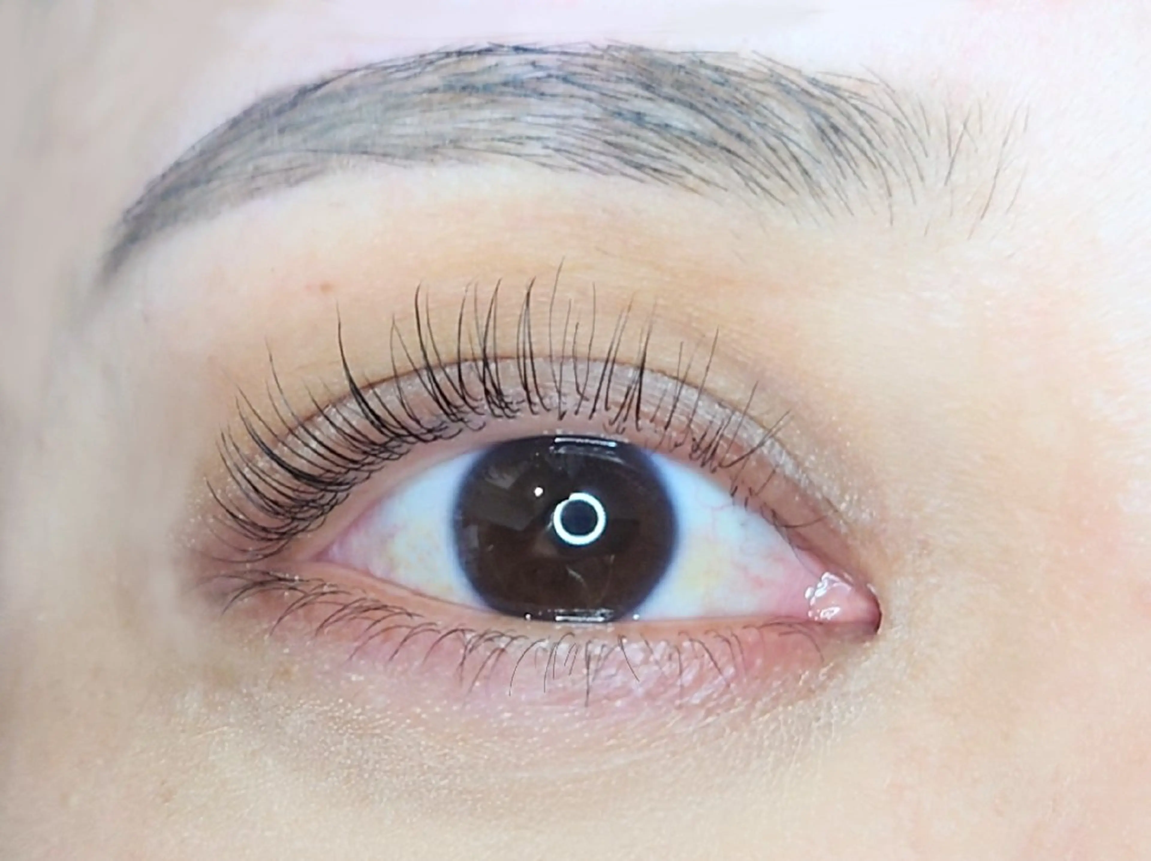 マツエク・マツパ ナチュラル 一重×まつ毛パーマ マツパ joie ange 難波店　斎藤のマツエク・マツパデザイン