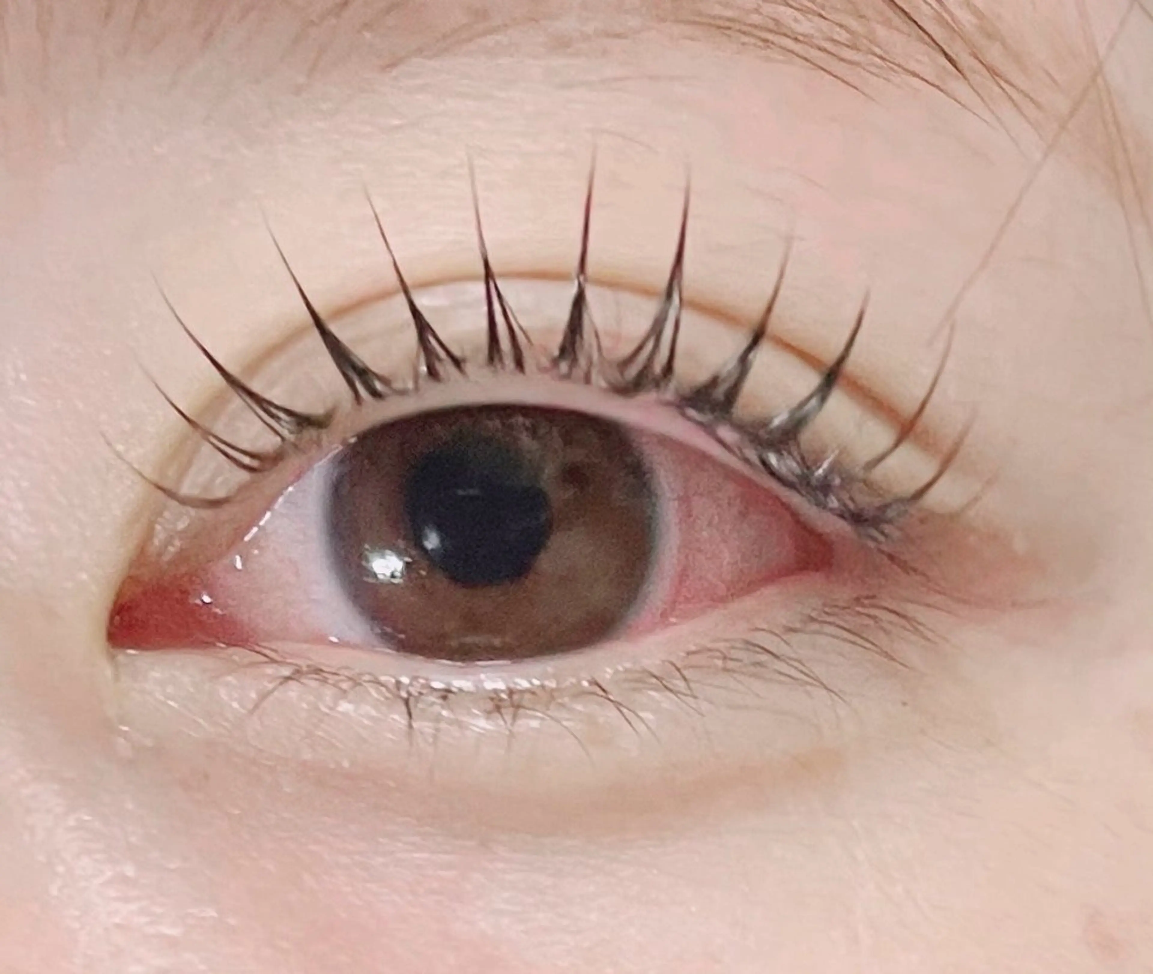 韓国風束感マスカラパーマの写真