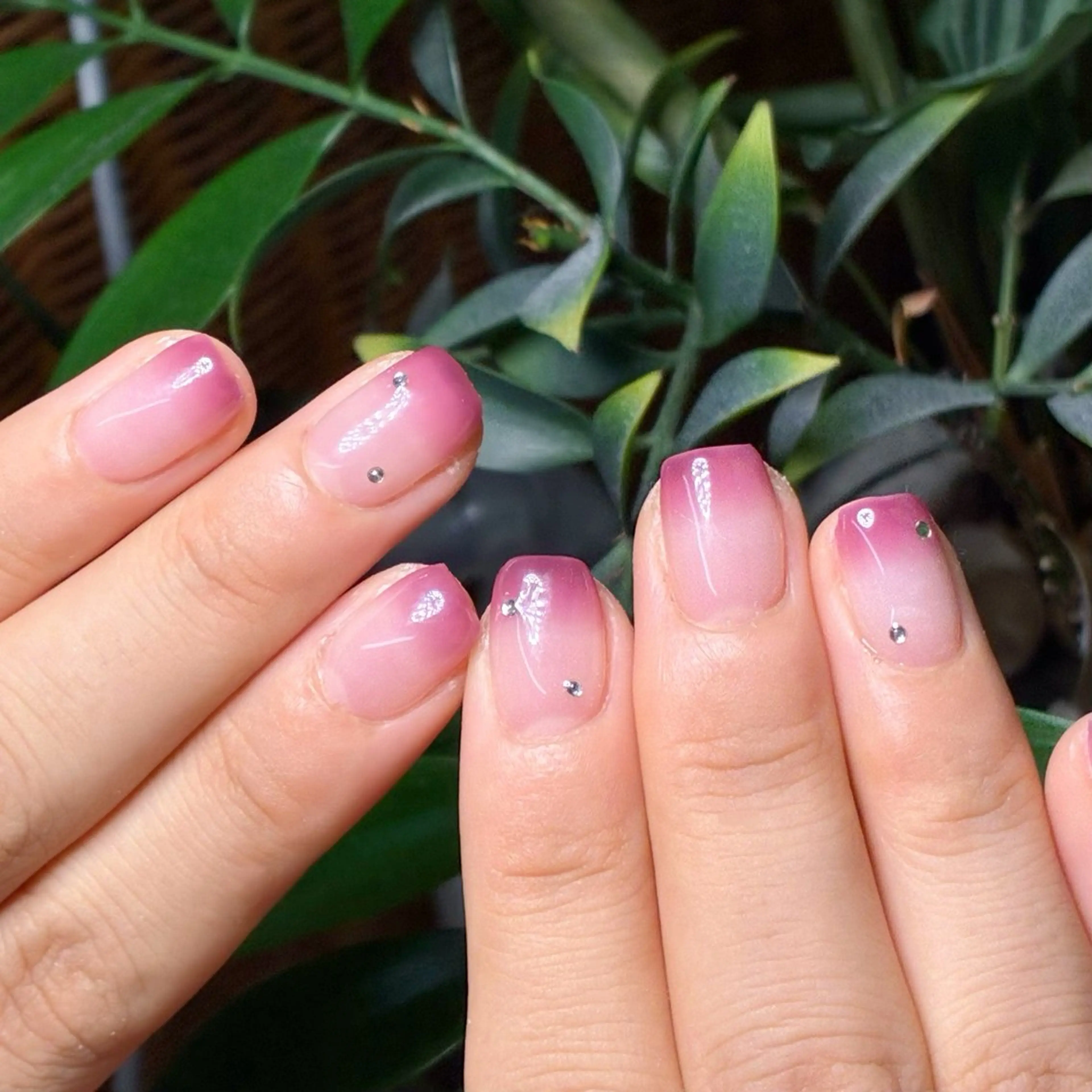 ネイル グラデーション mumjyu所属・mumjyu MIKAのネイルデザイン