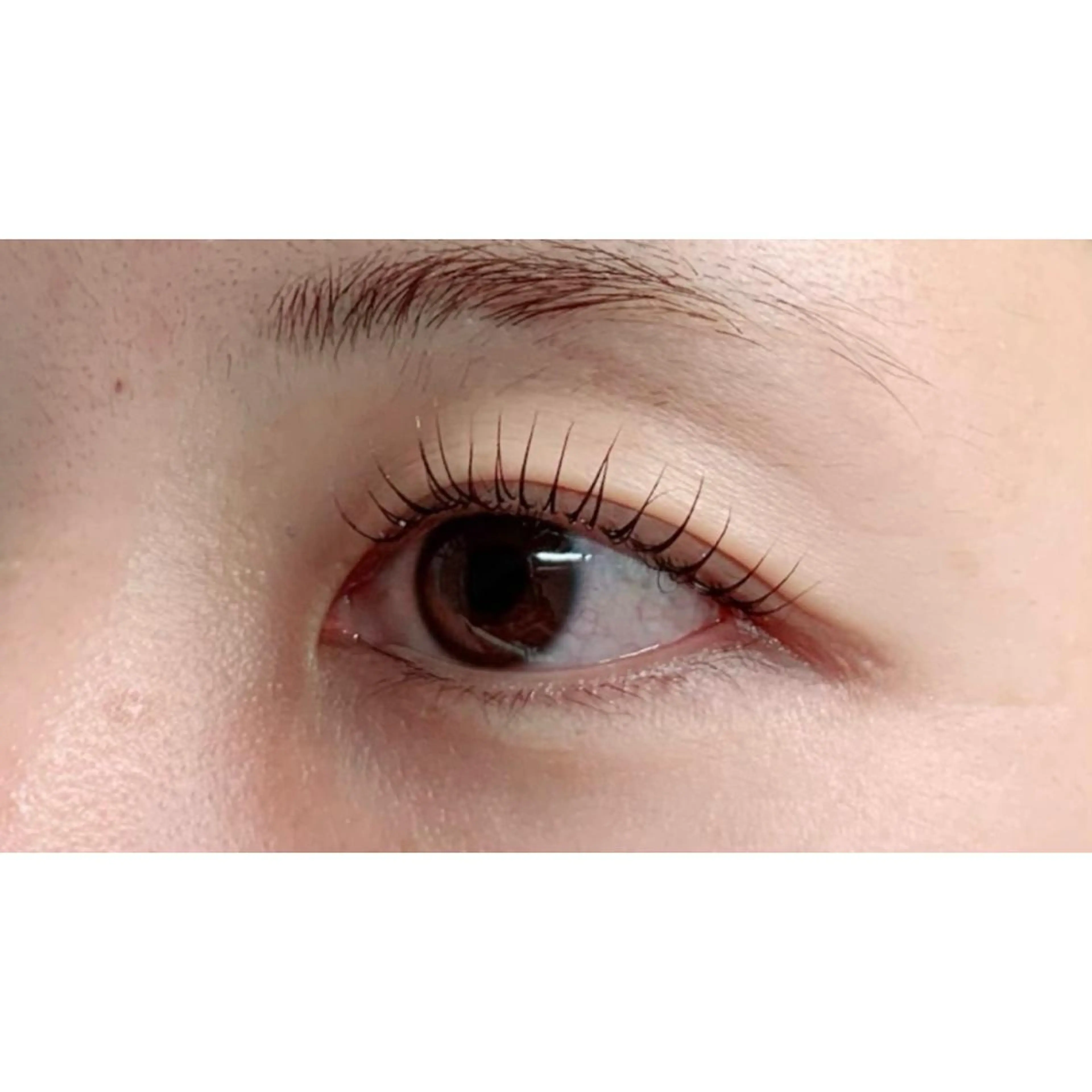 マツエク・マツパ Adorer(アドレ)所属・Adorer 🍀アドレ🍀のマツエク・マツパデザイン