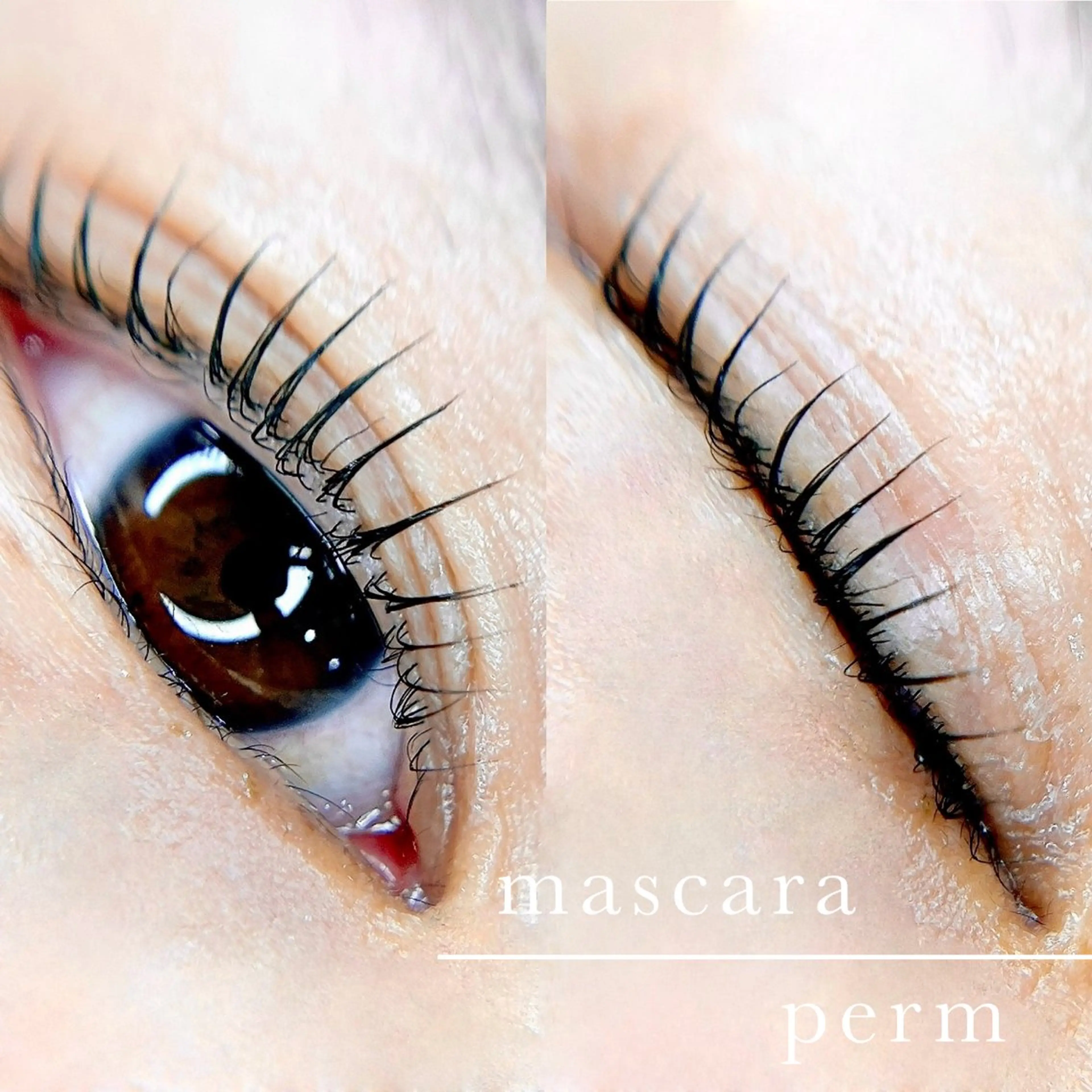 【マスカラパーマ】ご新規様限定¥6,500❣️アイシャンプー付！ベテランスタッフが施術するデザインパーマ.｡.:*☆の写真