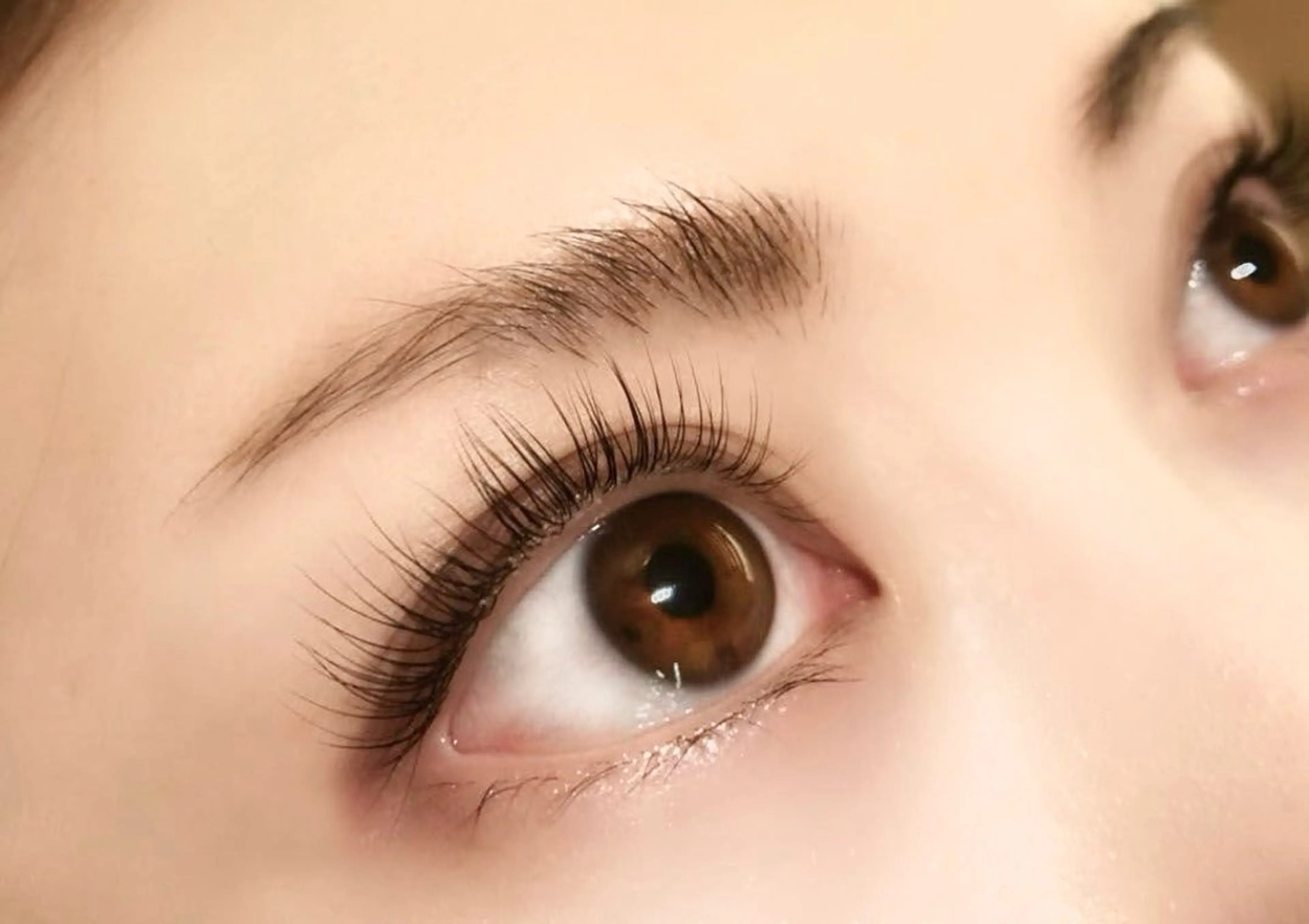 ⭐︎急募⭐︎Jr.アイデザイナーマツエクモデル募集　(R8 2月12日限定)※16時以降で2名様限定‼️の写真