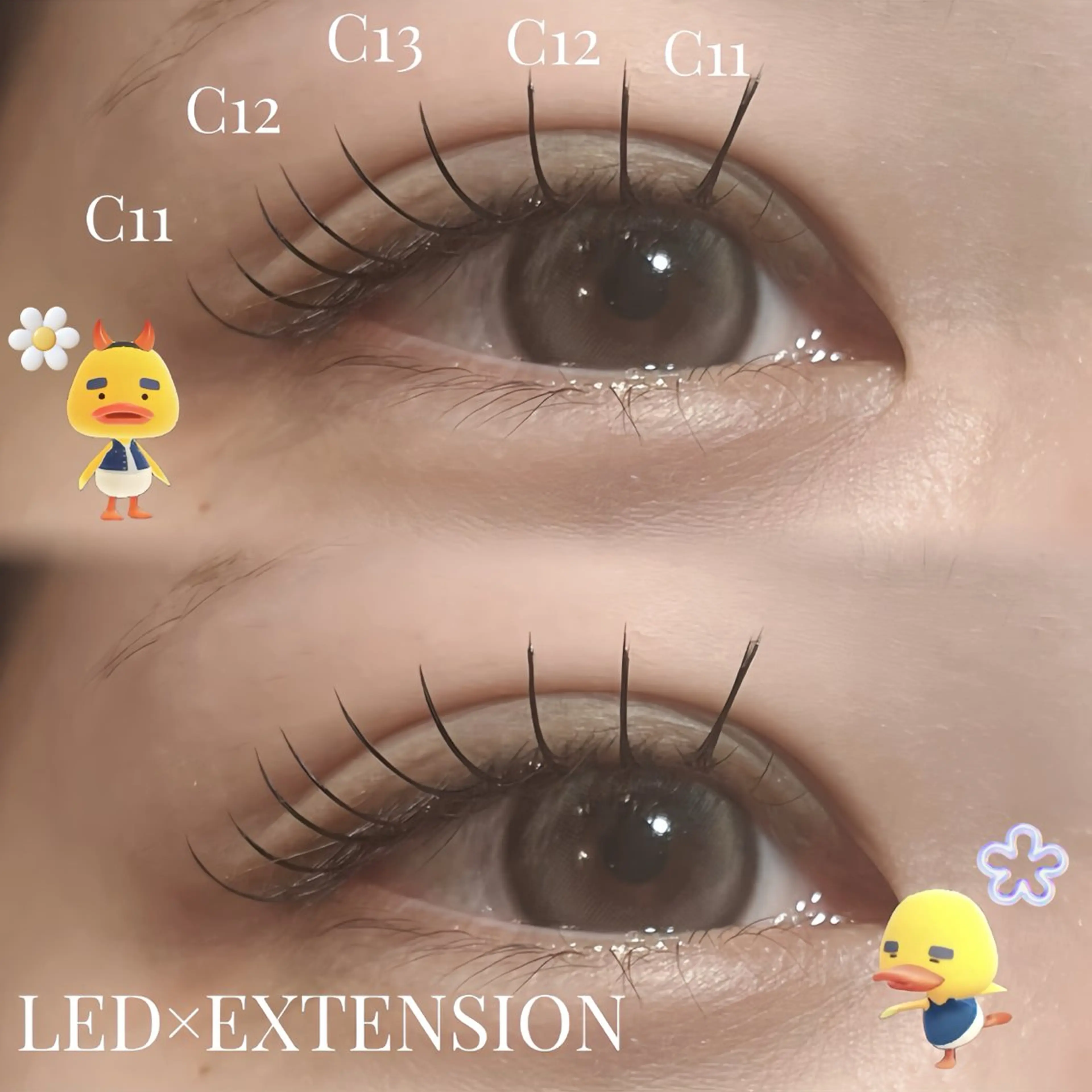 マツエク・マツパ フラットラッシュ マツエク yume ⋆꙳𝜗𝜚꙳.*‬のマツエク・マツパデザイン