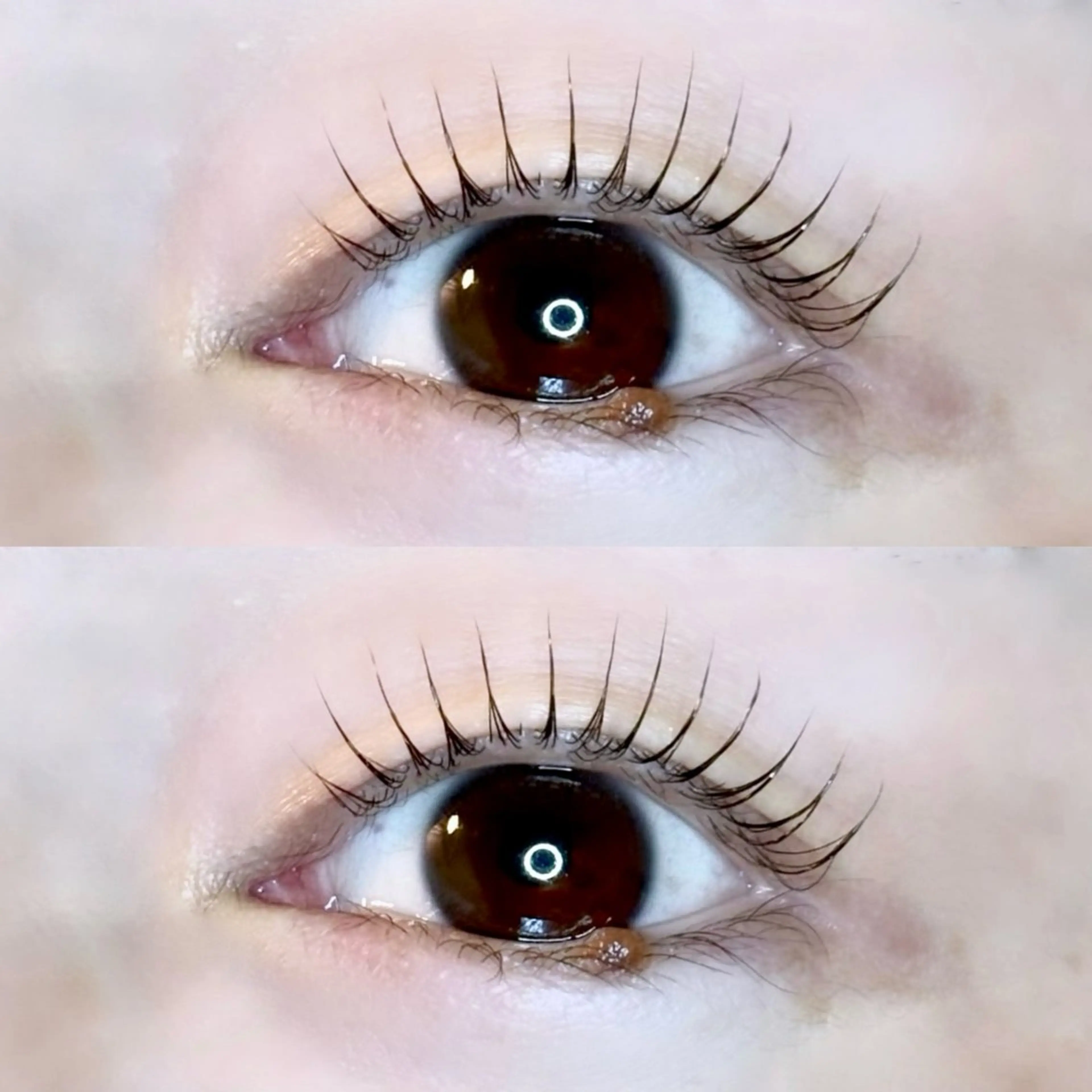 マツエク・マツパ バインドロック フラットラッシュ パリジェンヌラッシュリフト まつげパーマ 下まつげエクステ マツパ fein. mizuki🌙のマツエク・マツパデザイン