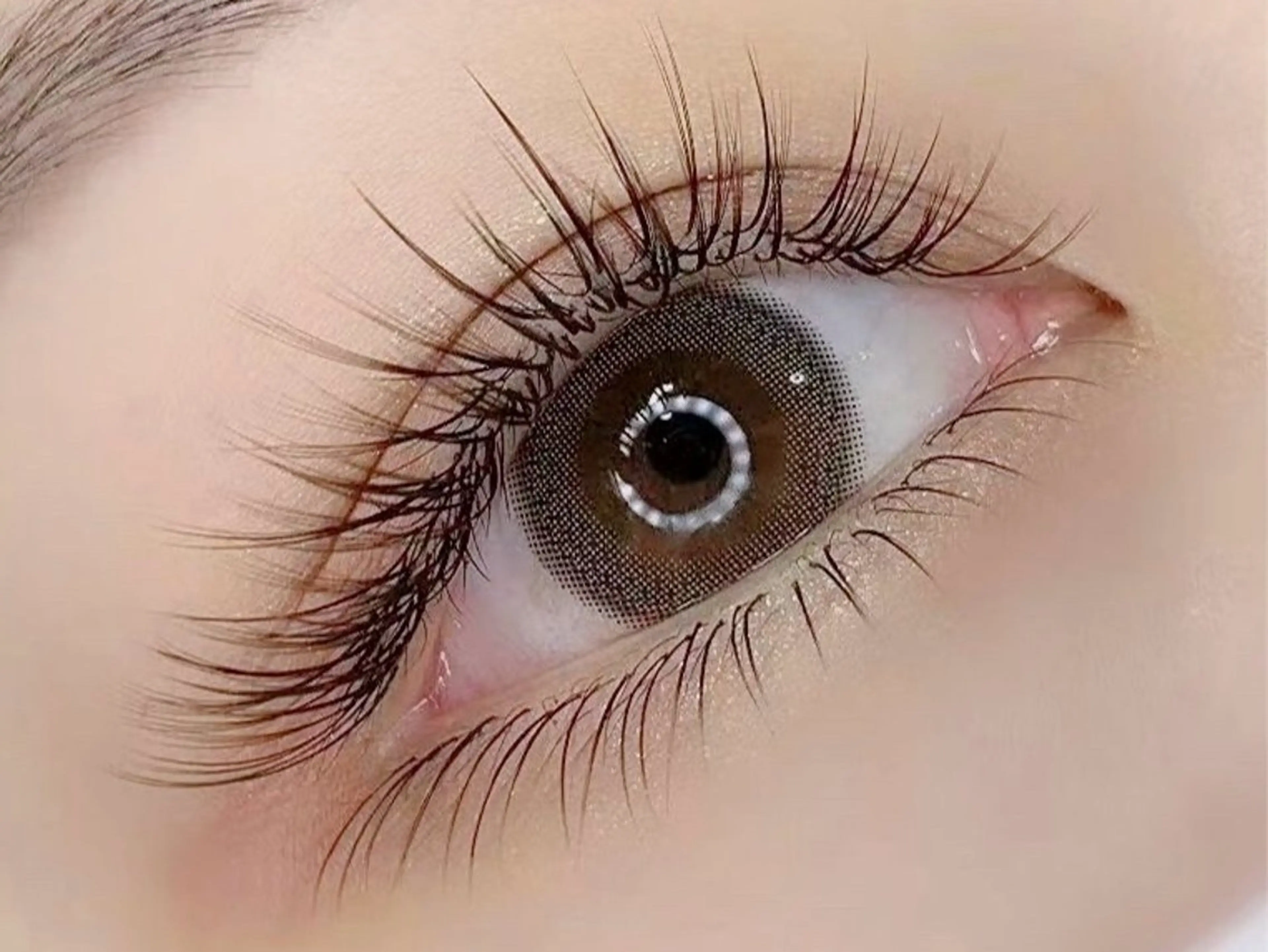 下まつ毛付け放題の写真