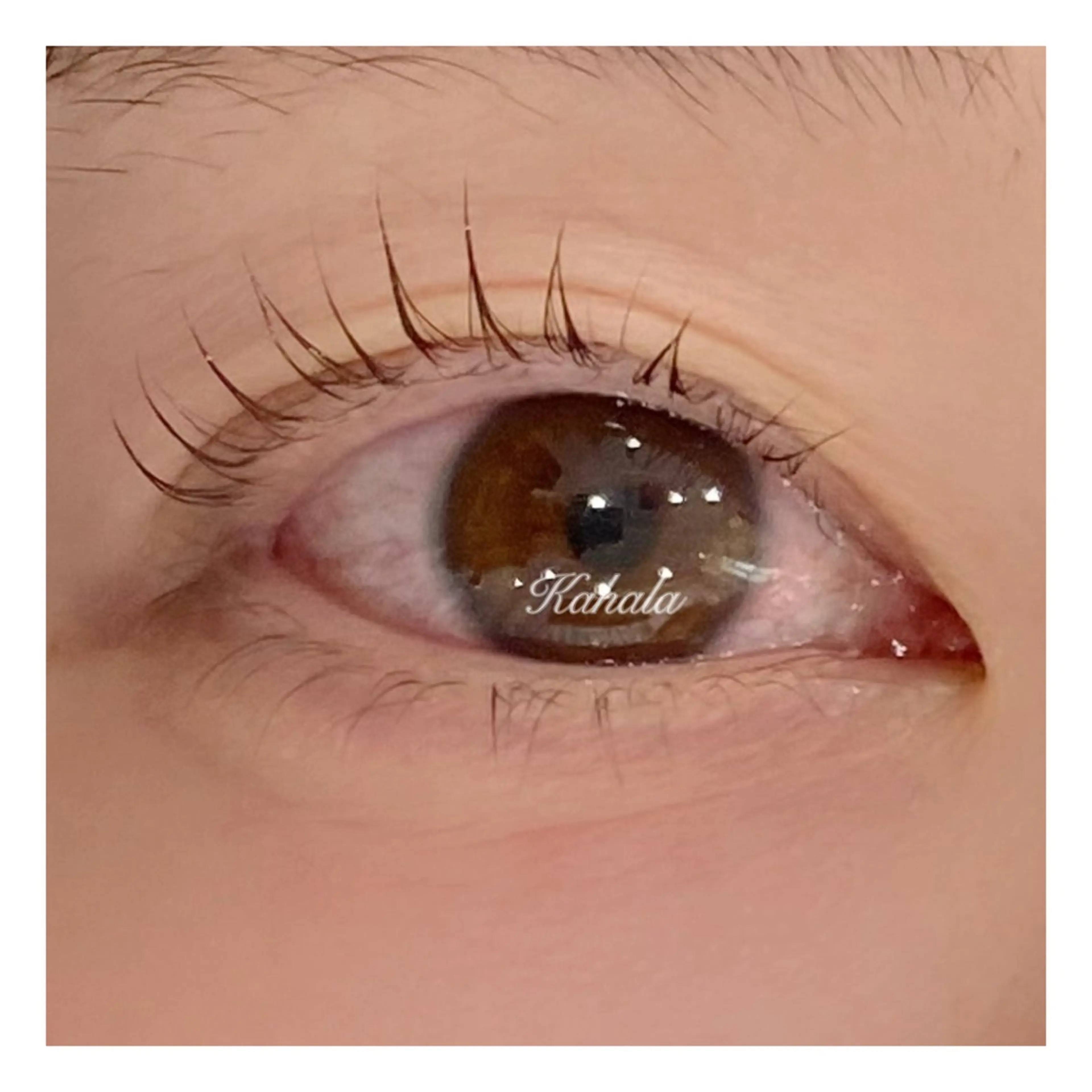 マツエク・マツパ 眼科監修まつ毛エクステ専門店　アイラッシュリゾート　カハラ　新宿店所属・🥞ツノダ eyelash🧸のマツエク・マツパデザイン