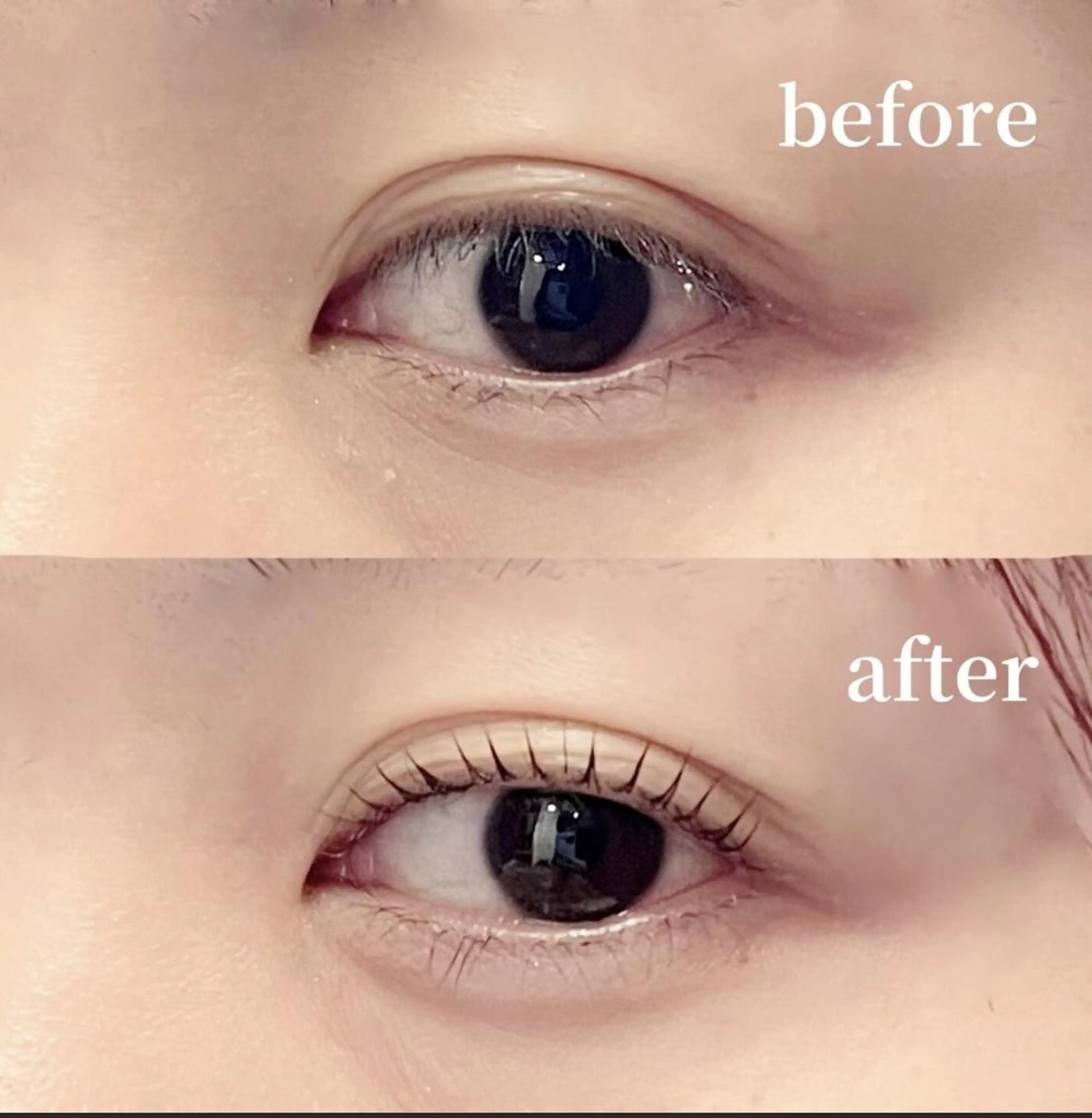 マツエク・マツパ アンジュベル Ginzaのマツエク・マツパデザイン