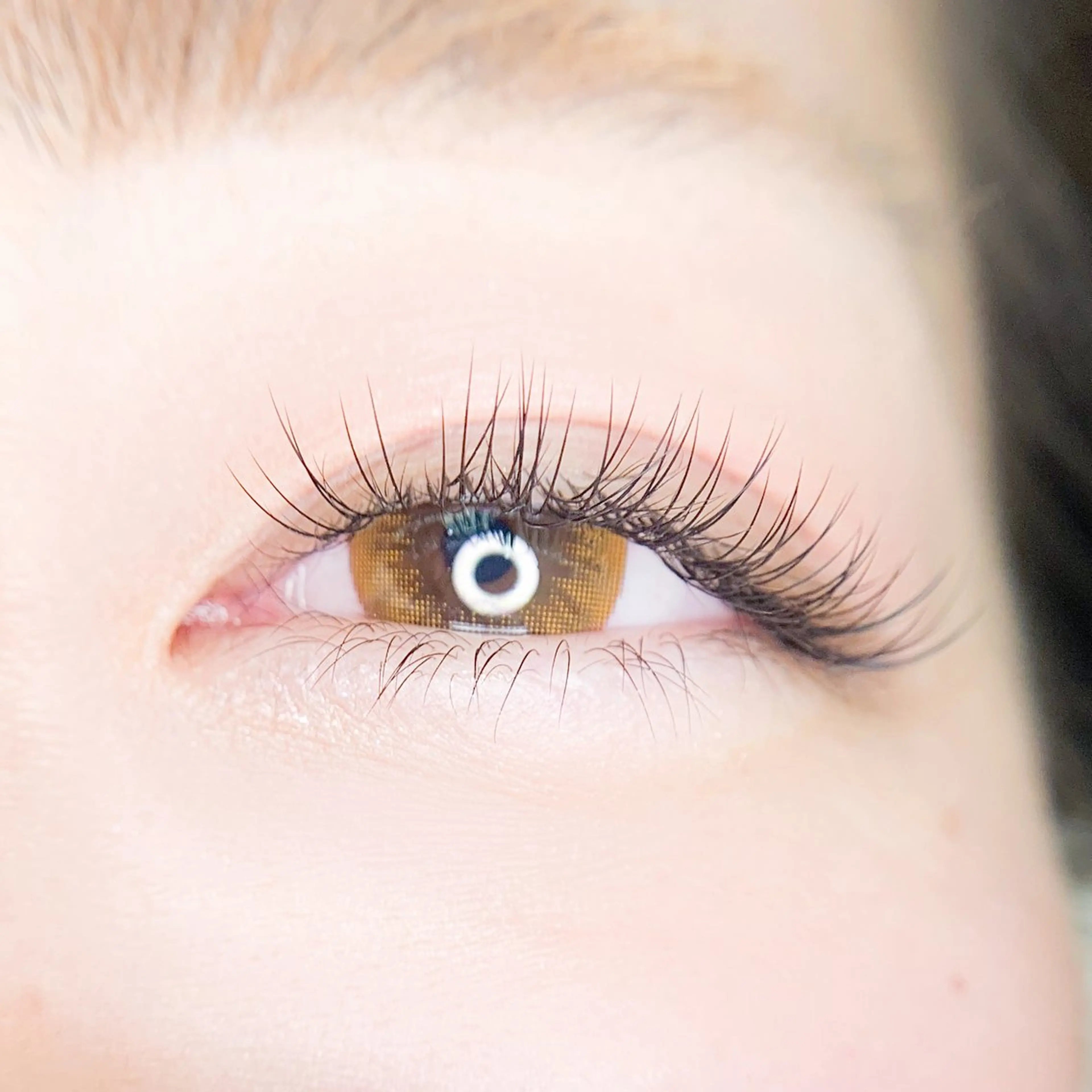 フラットラッシュ100本💛【アイシャンプー込】の写真