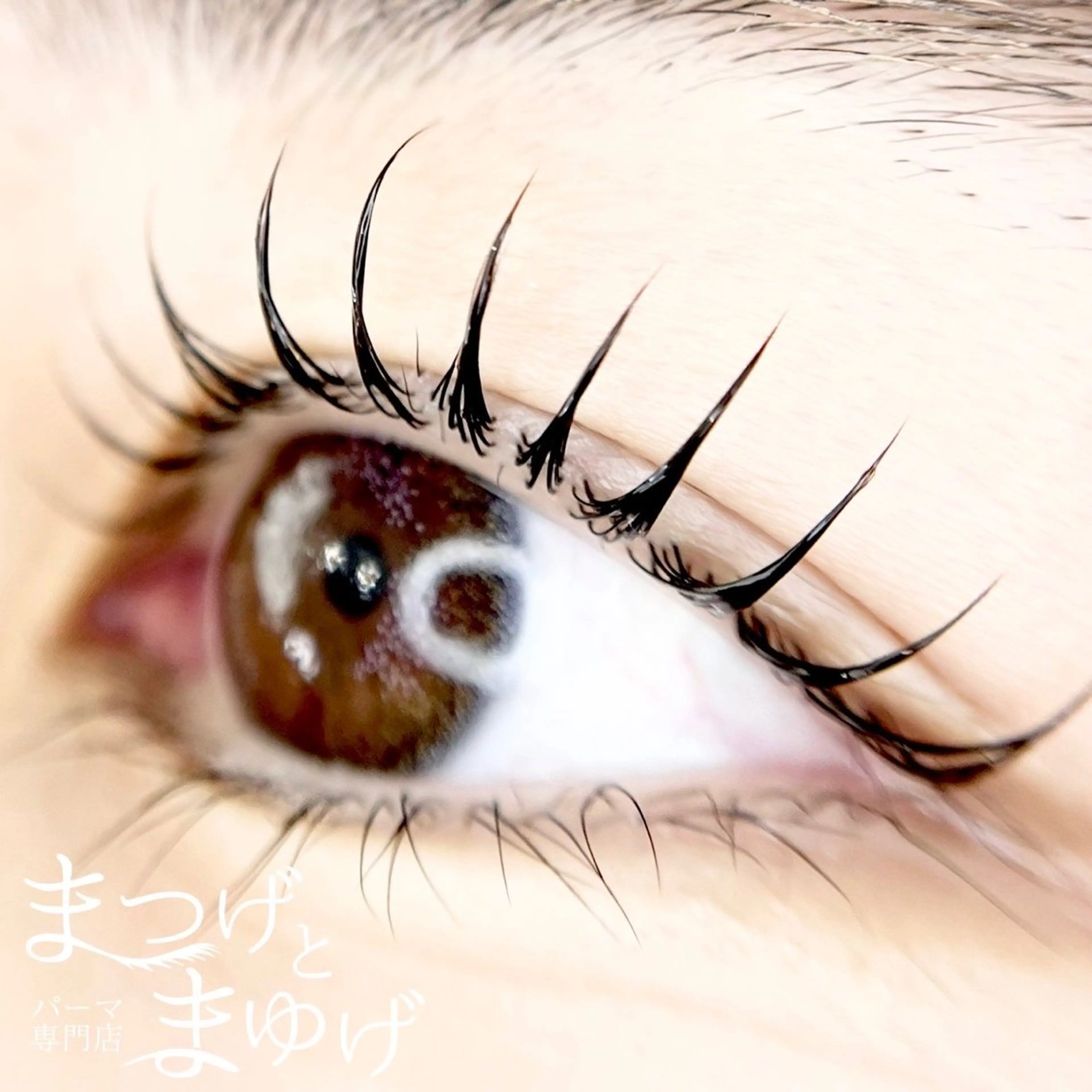 マツエク・マツパ パーマ専門店まつげとまゆげ難波店所属・まほ 💎のマツエク・マツパデザイン