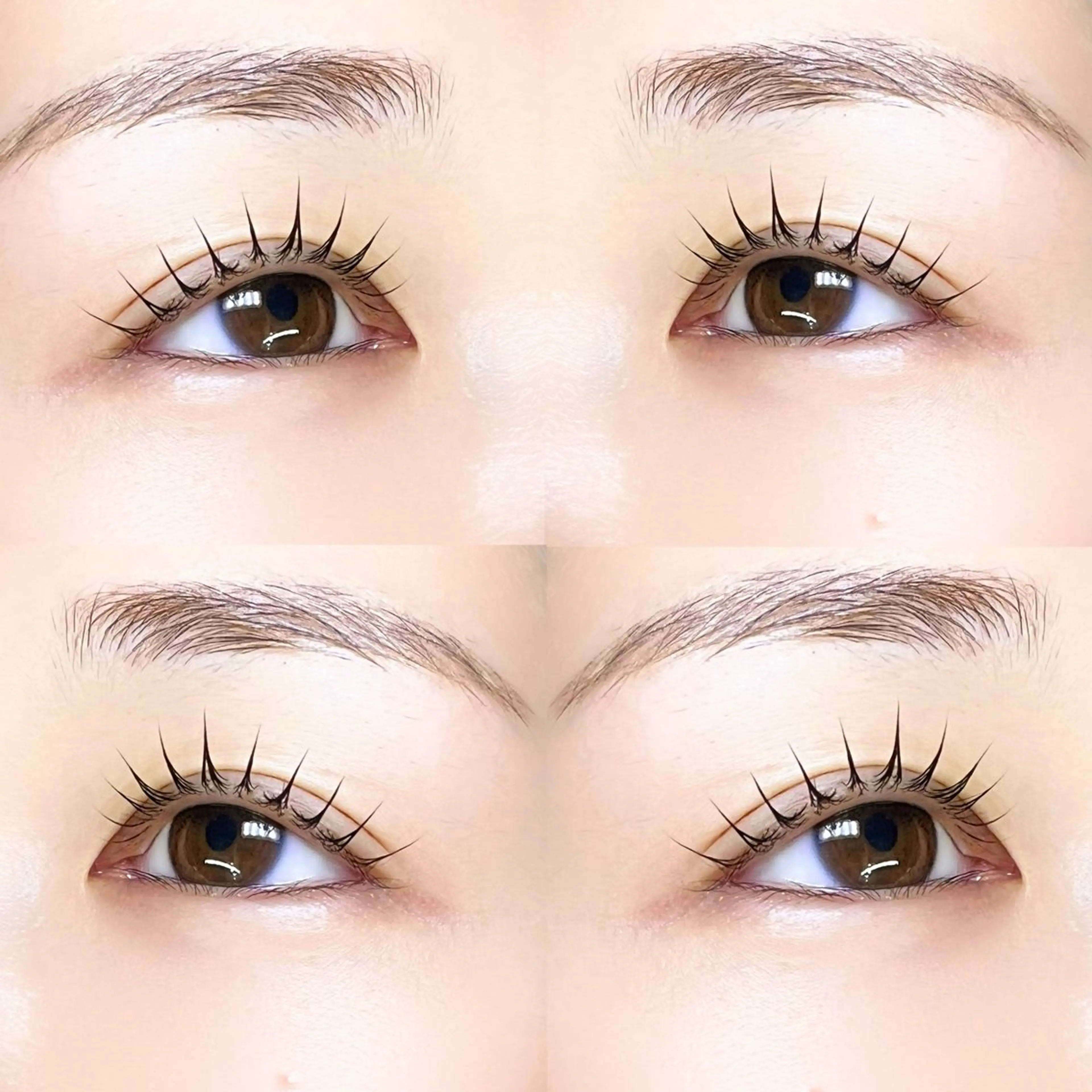 🌱眉Wax➕🌷ラッシュリフトorパリジェンヌ+🫧4種類トリートメント🫧（アイシャンプーを付ける場合は+¥500）の写真