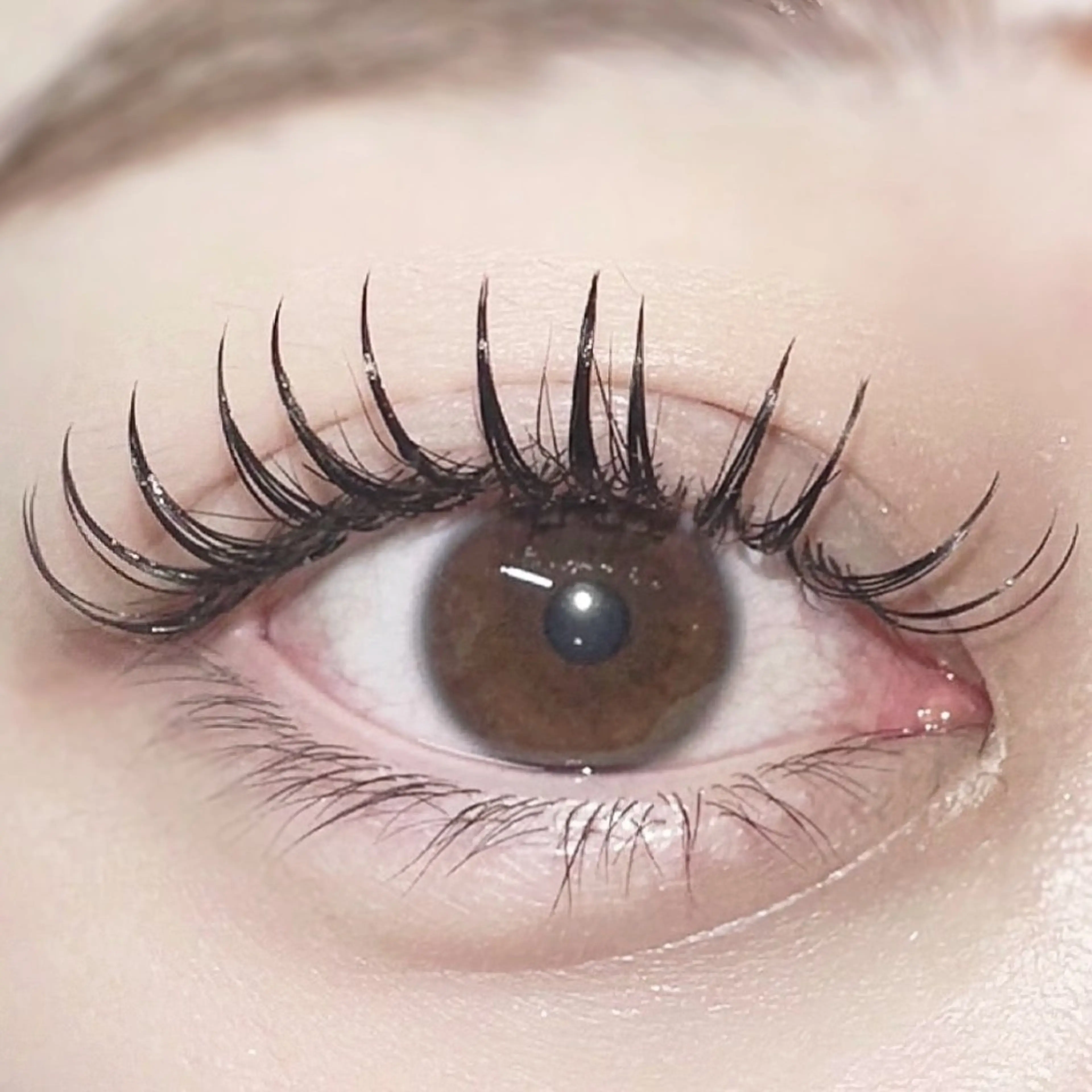 フラットラッシュ160本【持ち重視・逆まつげさんにオススメ💖】の写真