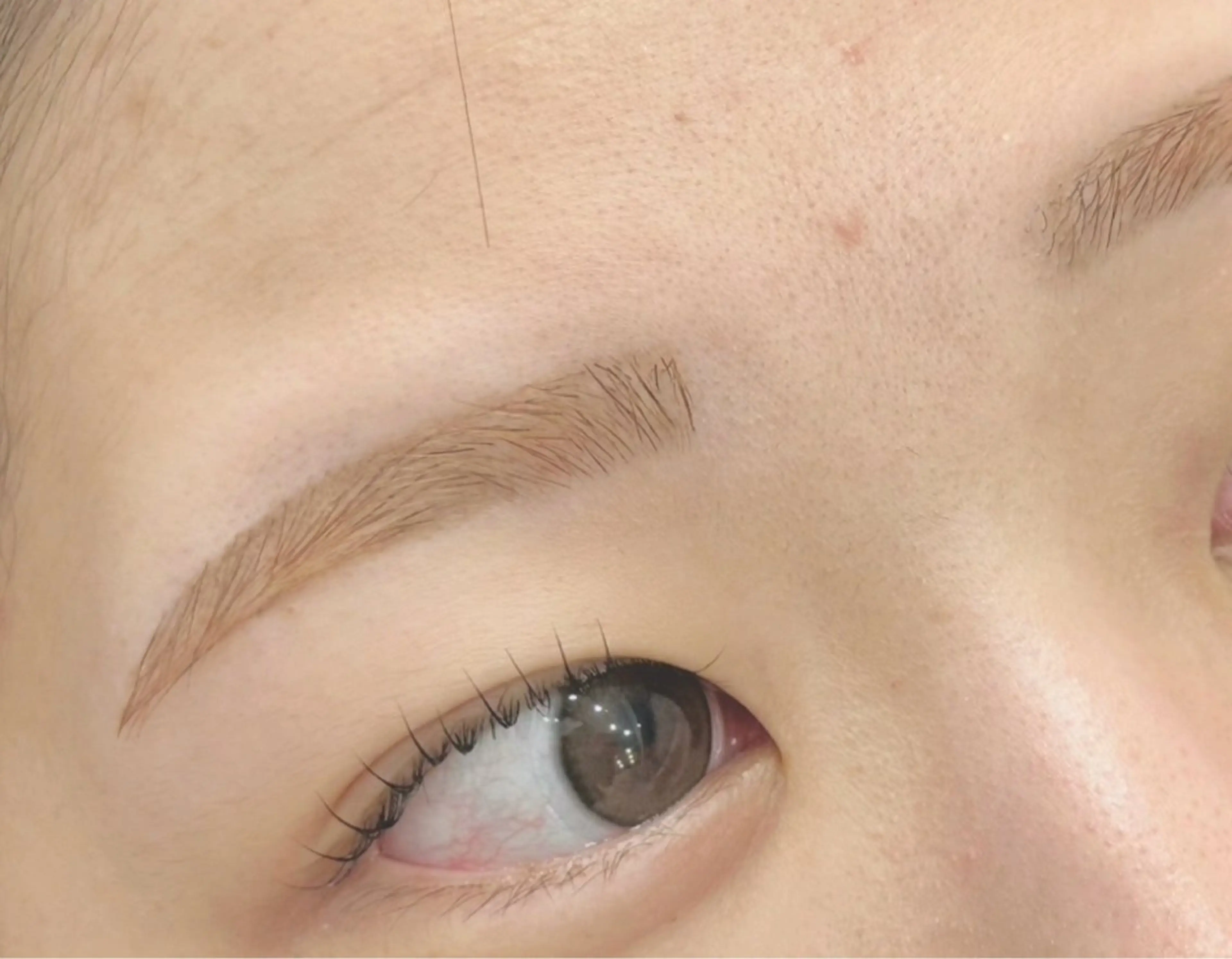 【ナチュラル×垢抜け感◎】眉スタイリング[眉WAX&間引き]×眉カラー¥6980の写真