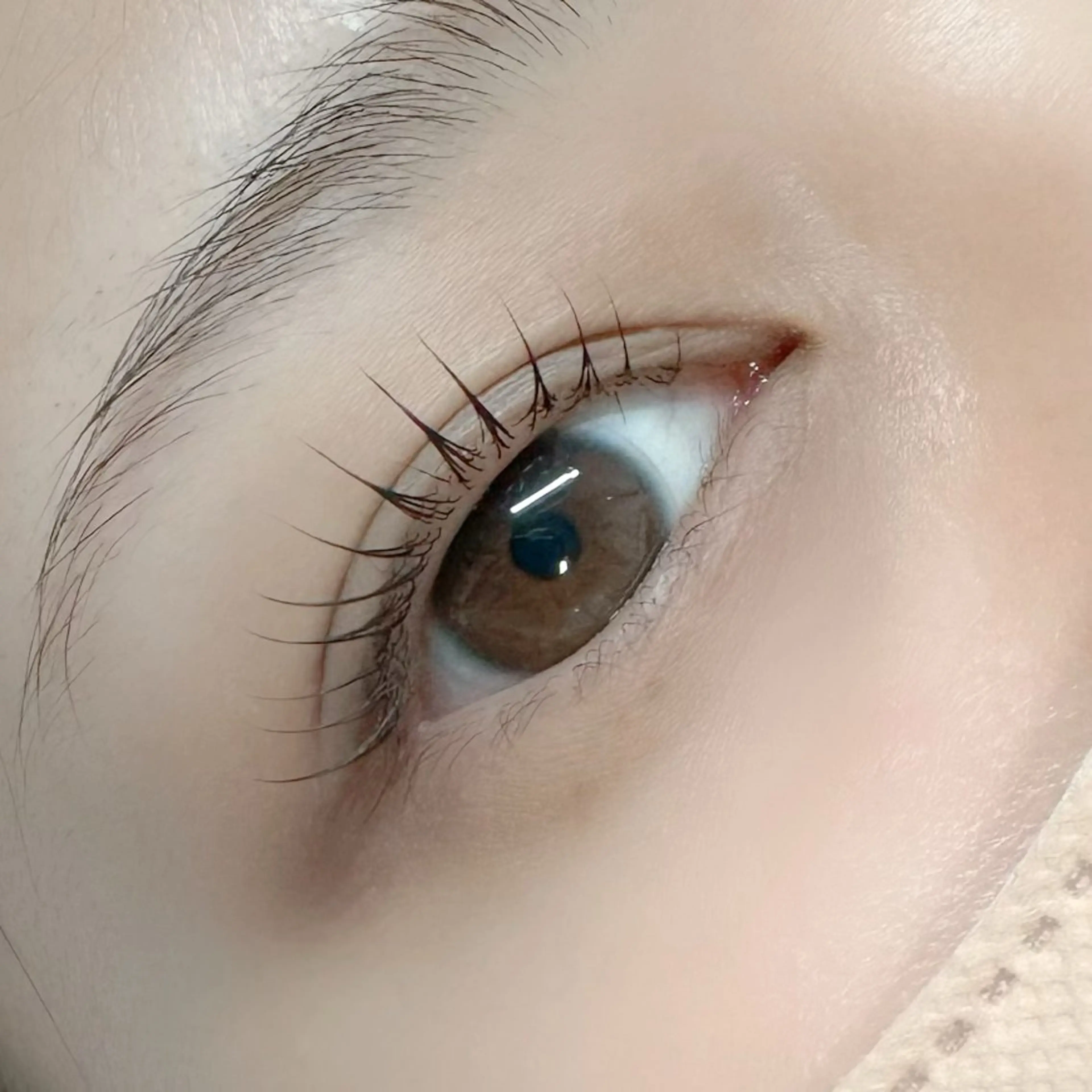 【ご来店3回目まで】🐻まつ毛カール🐻（アイシャンプー・トリートメント付き）の写真