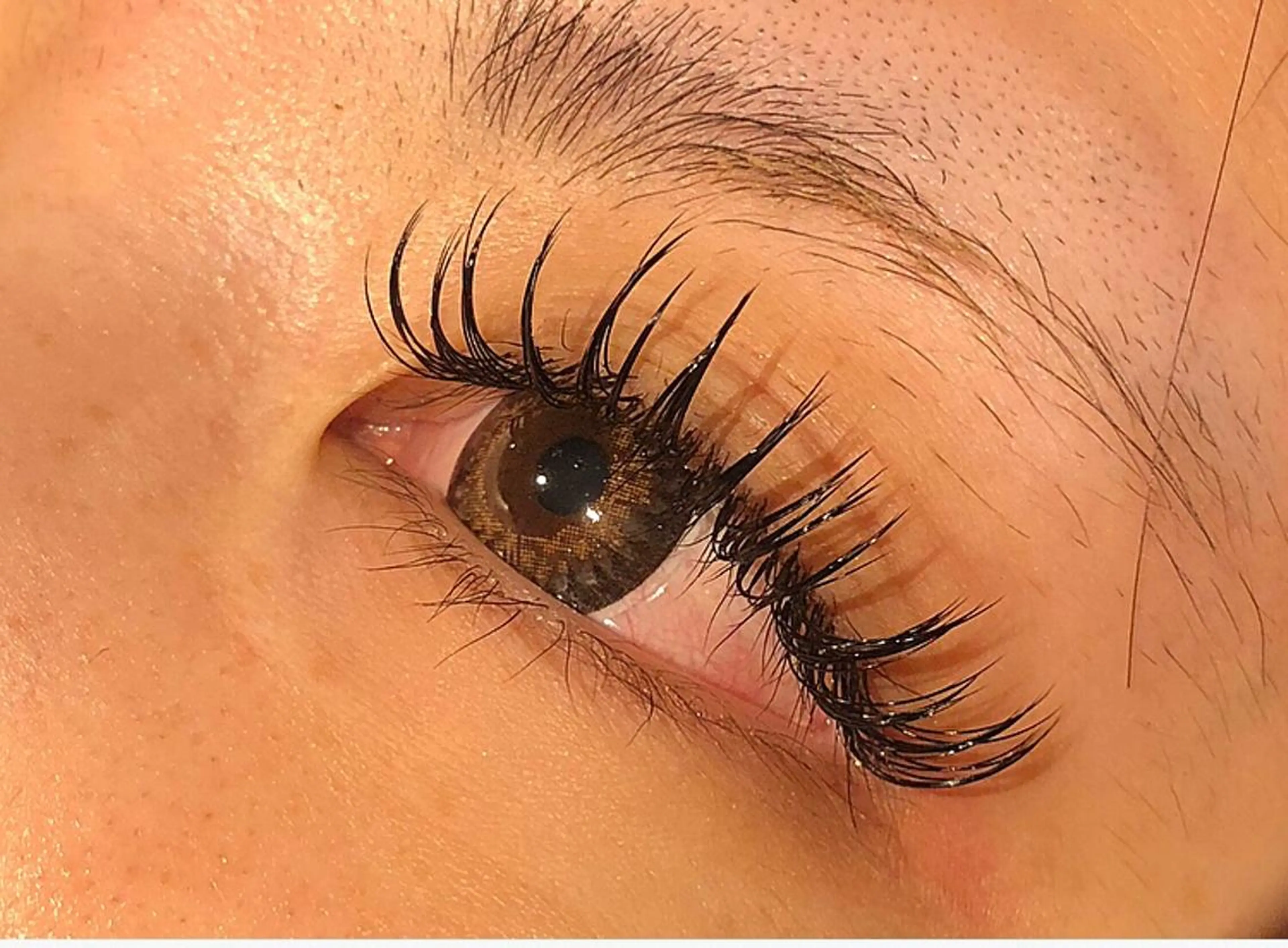 マツエク・マツパ 🌼Alba🌼 犬馬塲のマツエク・マツパデザイン