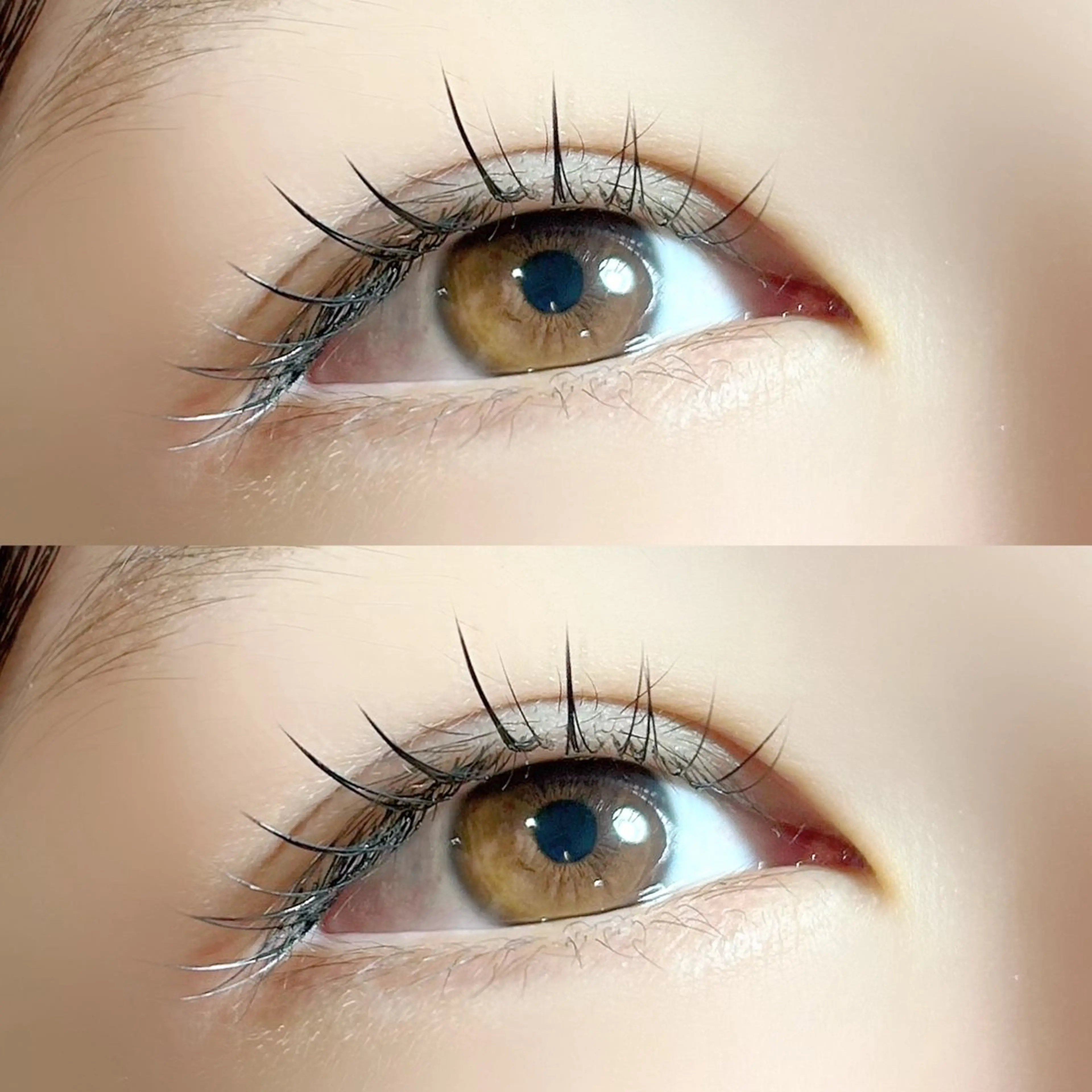 マツエク・マツパ フラットラッシュ ナチュラル セクシー 🦋MaaZ lash2🦋のエステ・リラクイメージ