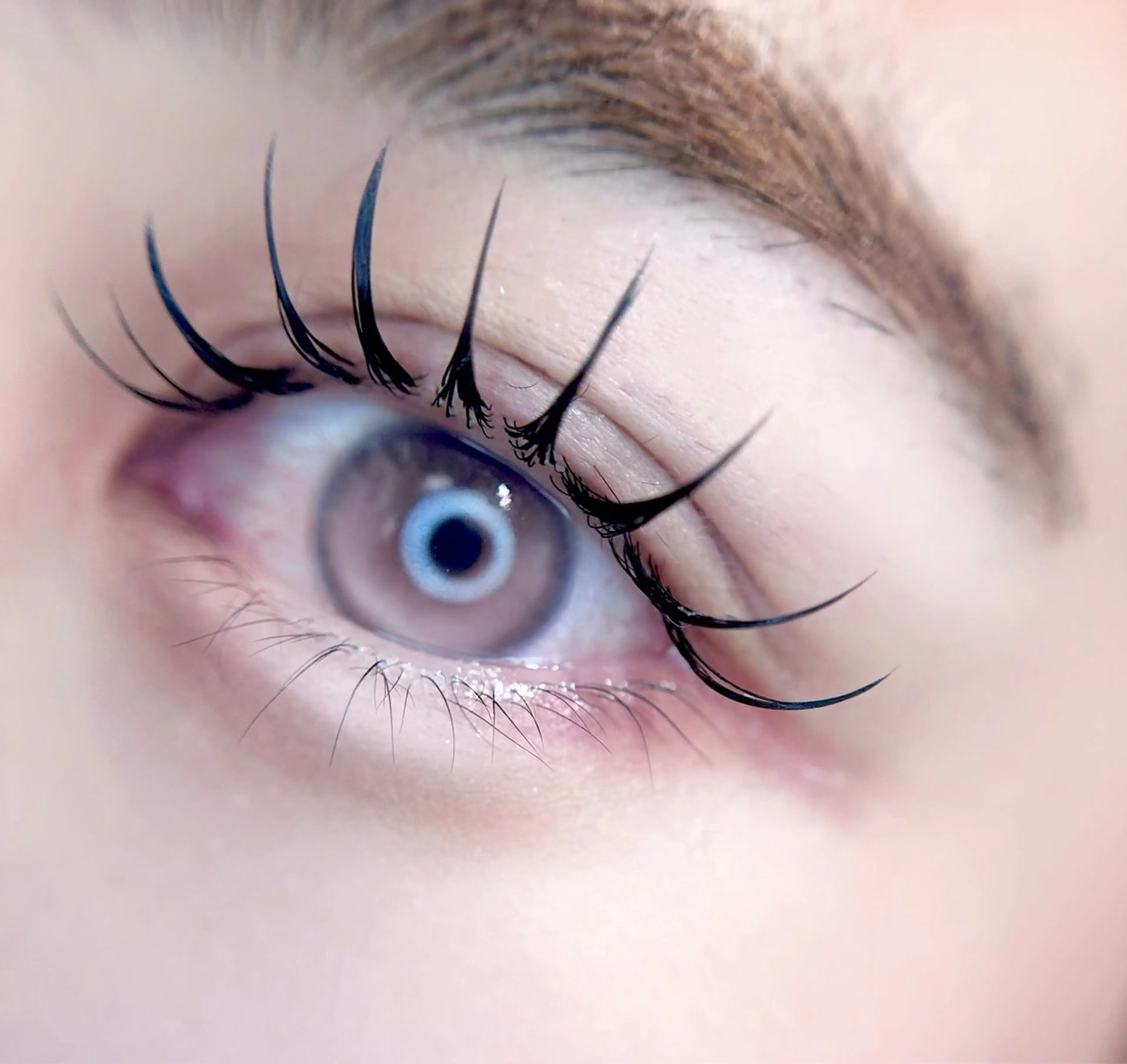 【当日限定🪄】エクステ＋パーマ&healthy‎𖤐 ̖́-‬フラットラッシュ140本   ✨￥9500→￥8300✨の写真