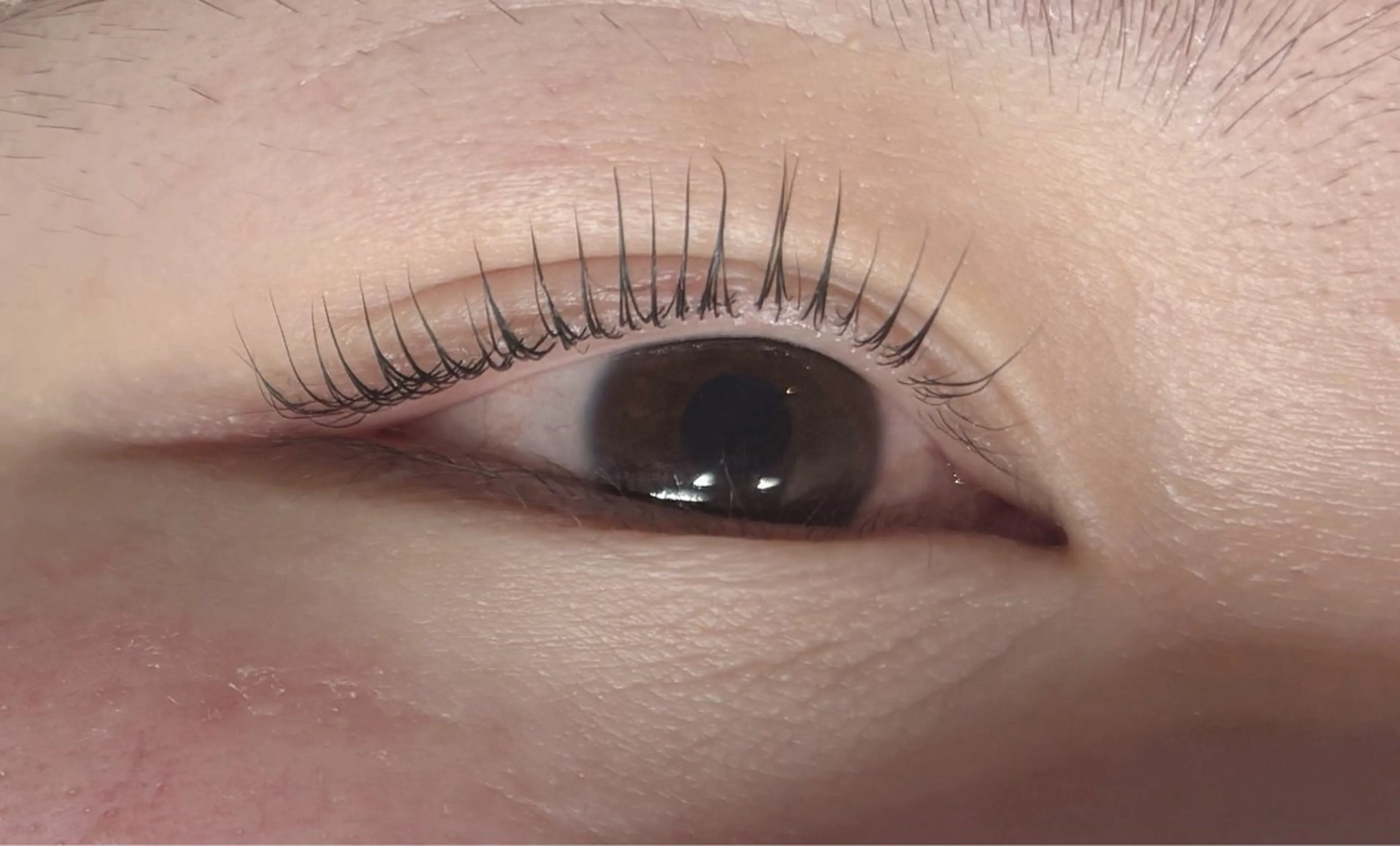 マツエク・マツパ EyeLash Salon Froh 大和店所属・Eyelash / YUZU🫧🌷のマツエク・マツパデザイン