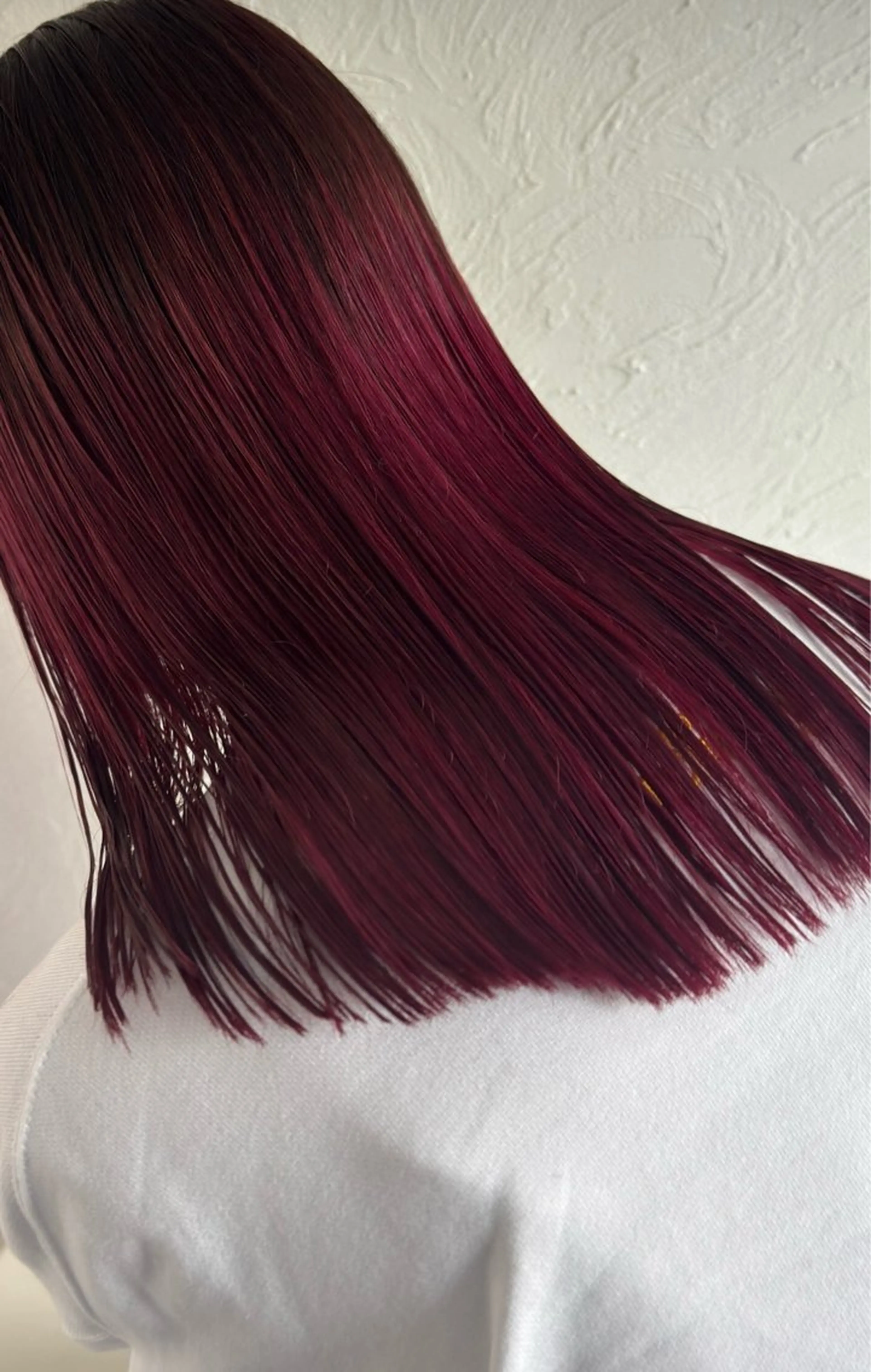 【りんご🍎】カット+りんご幹細胞トリートメントの写真