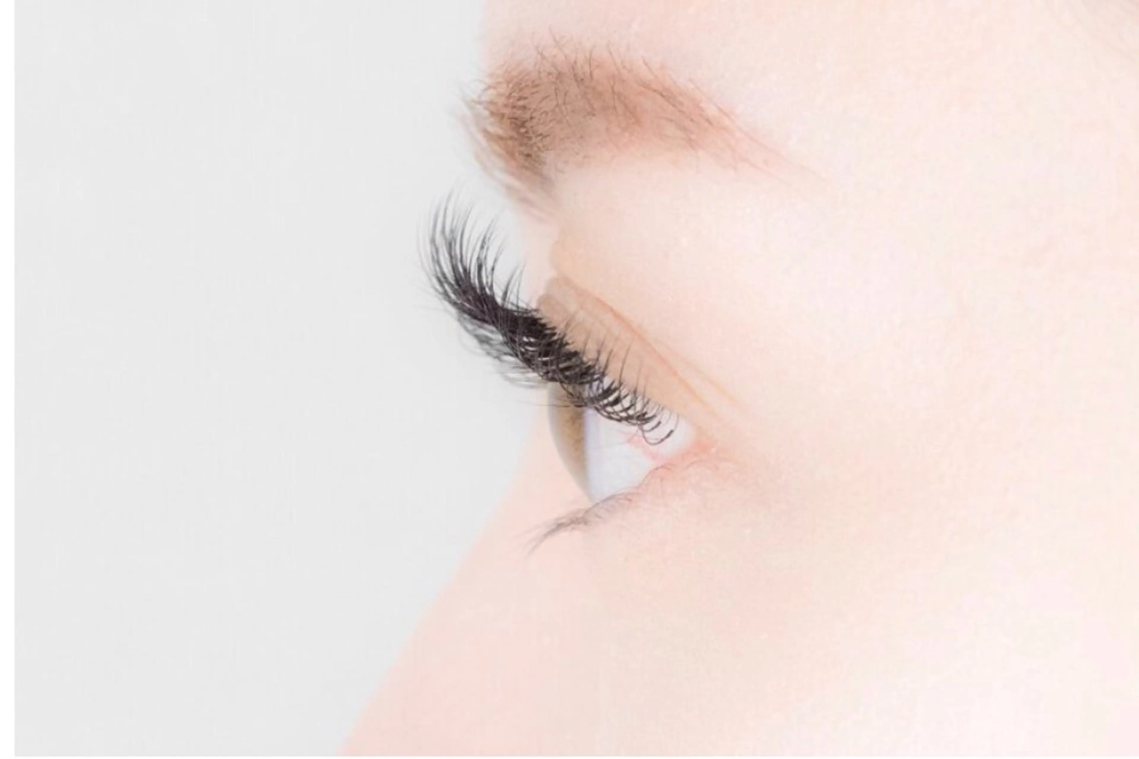 オフあり🥳最上級セーブル100本※10分前来店必須の写真